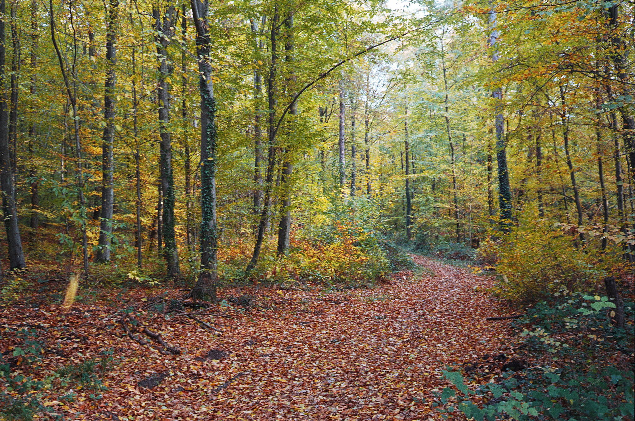 2018 11 02 cle vista 400 2 44786407445 o