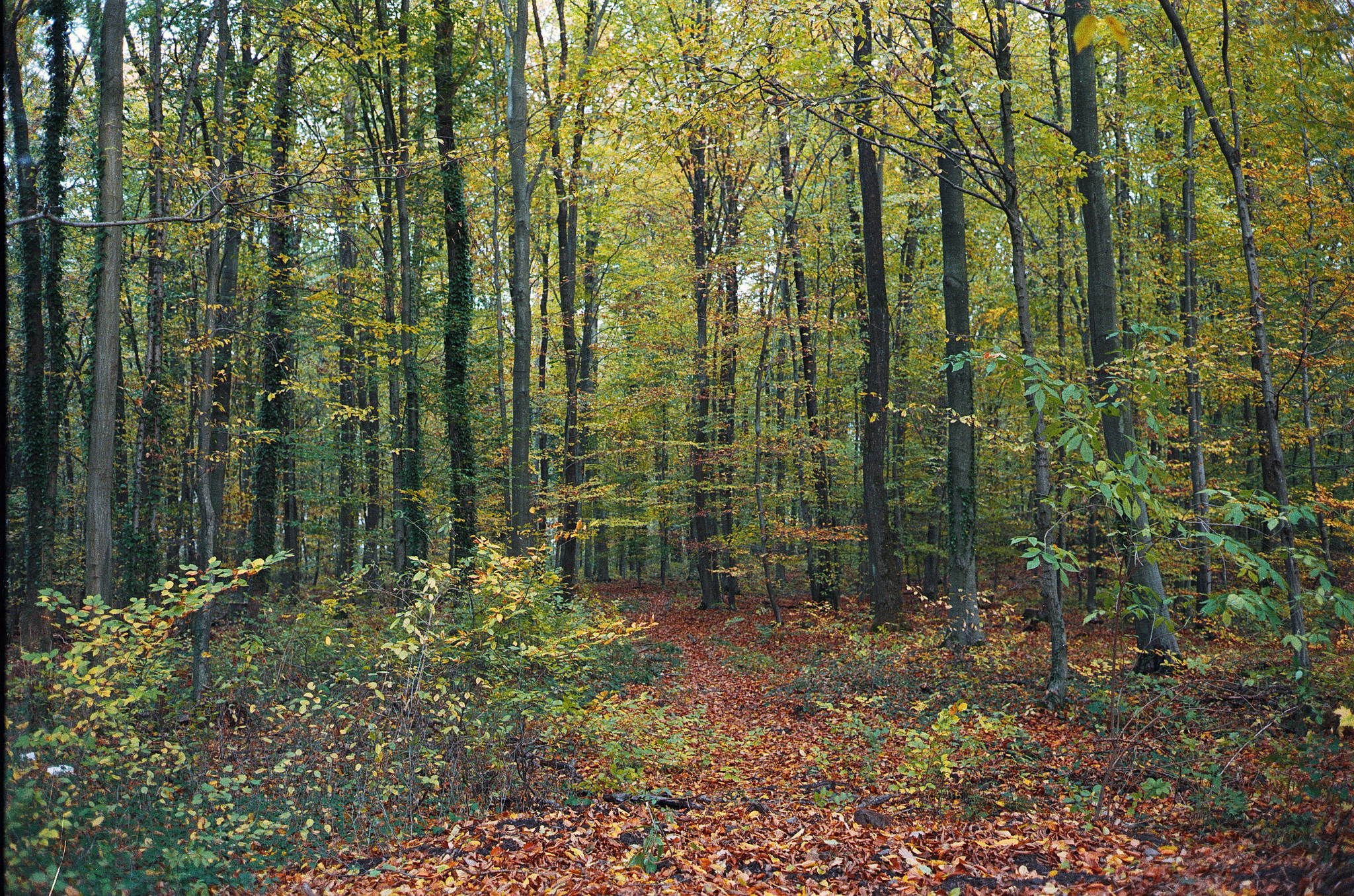 2018 11 02 cle vista 400 5 31828129118 o