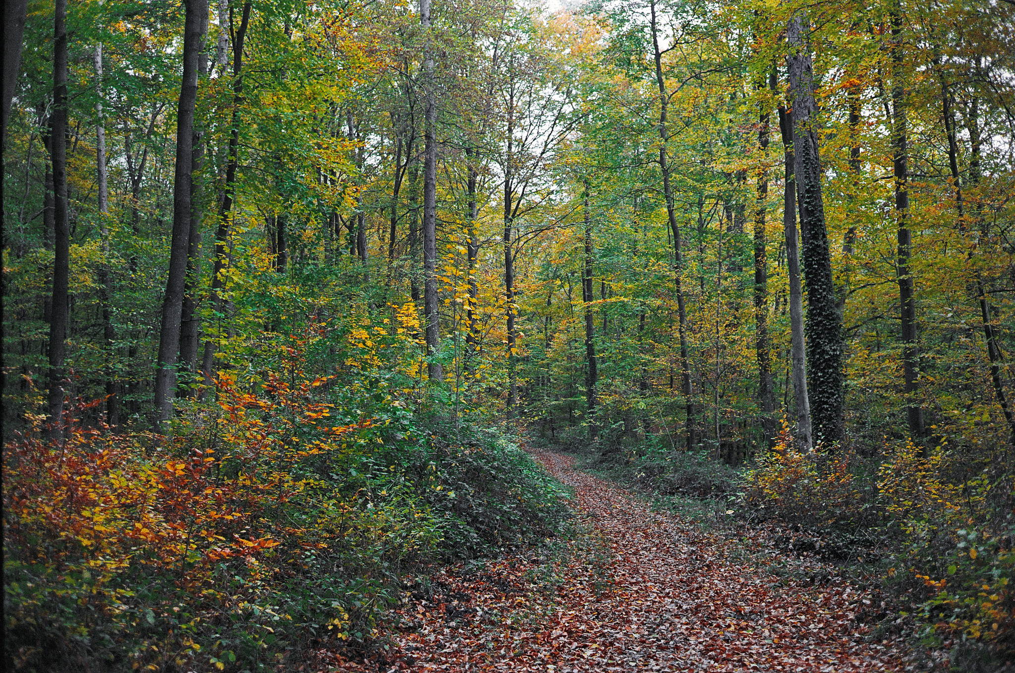 2018 11 02 cle vista 400 6 30759831227 o