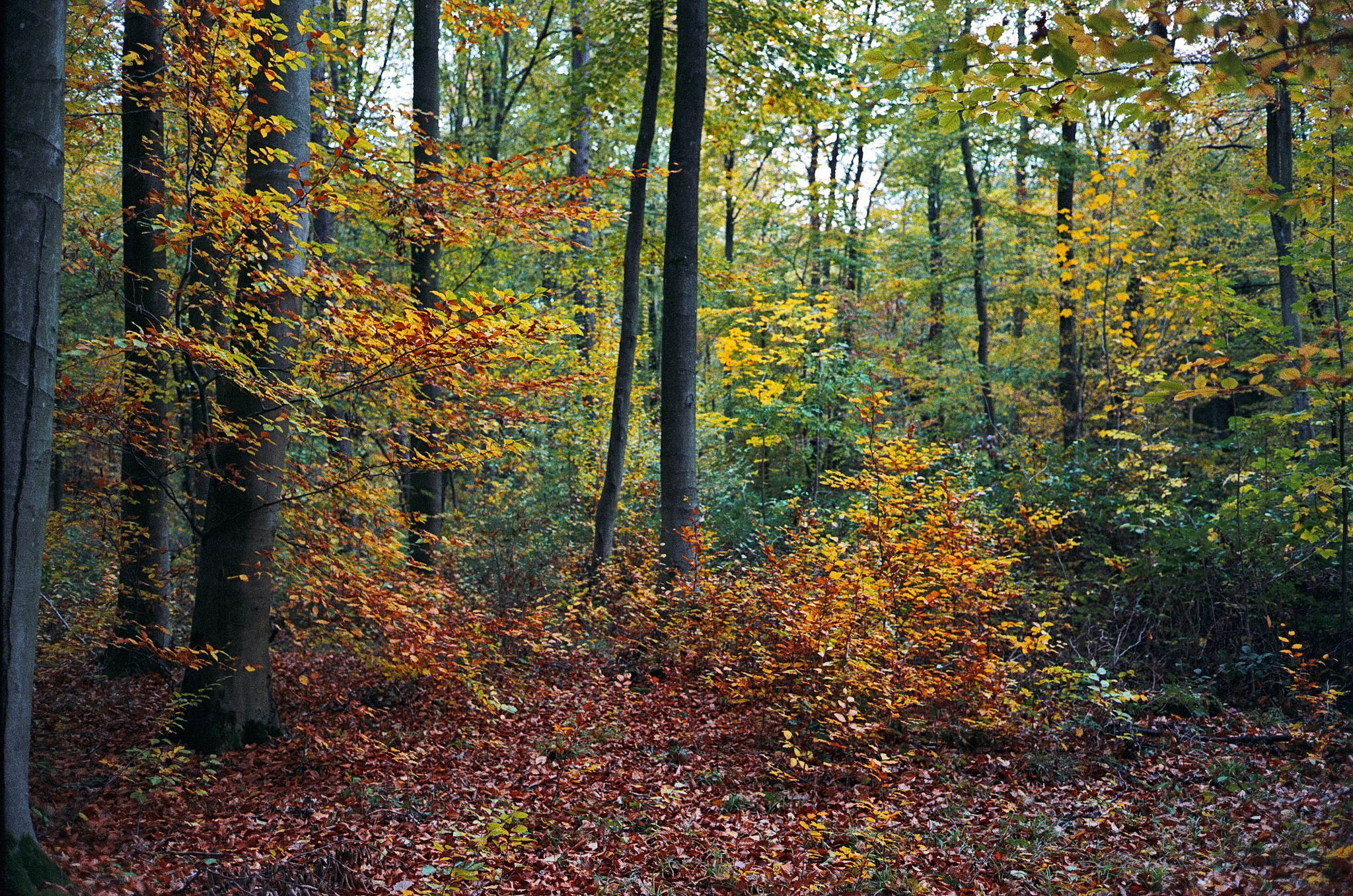 2018 11 02 cle vista 400 9 44786378005 o