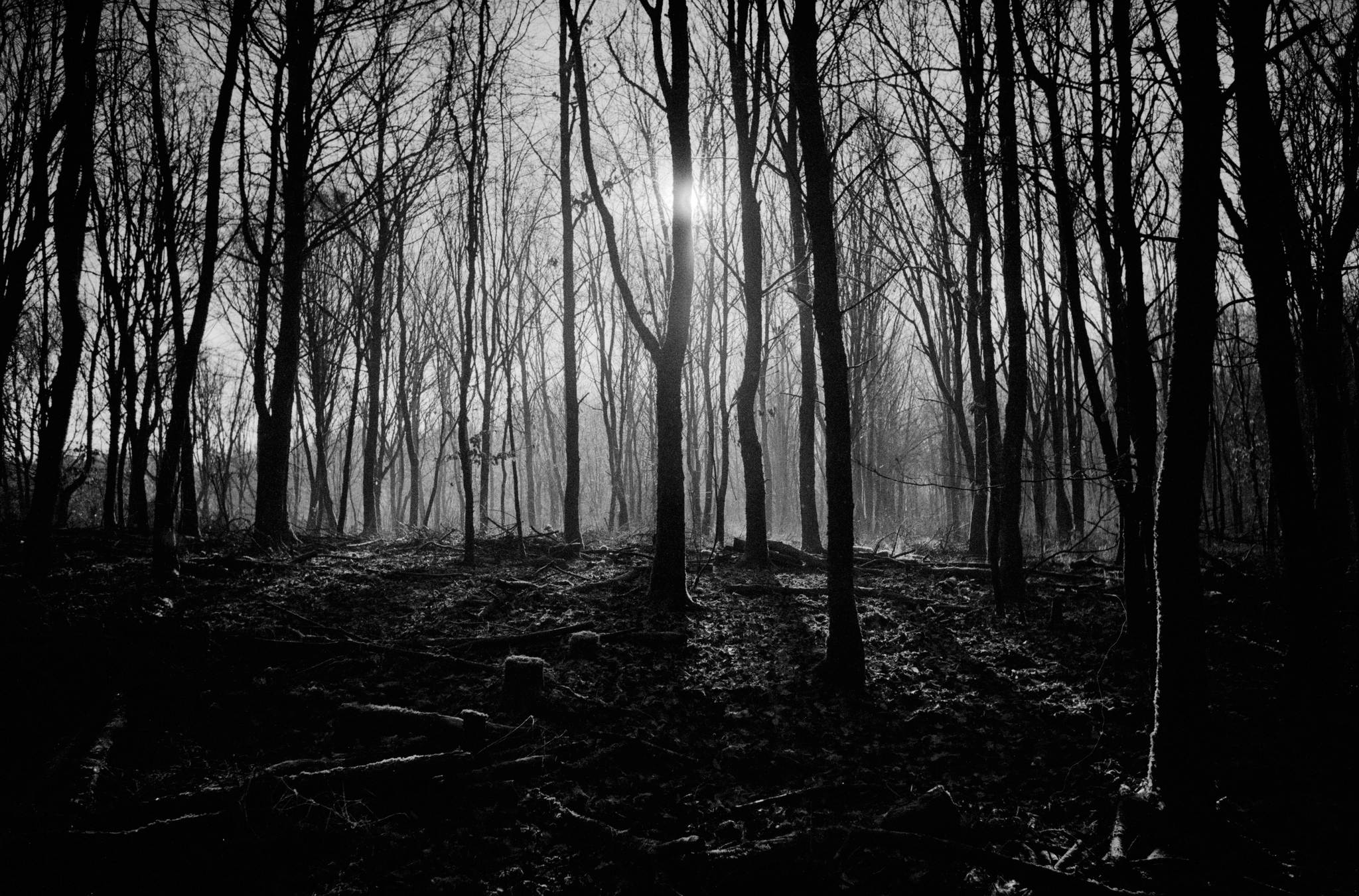 2018 12 25 cl apx100 fg10  32 46412359982 o