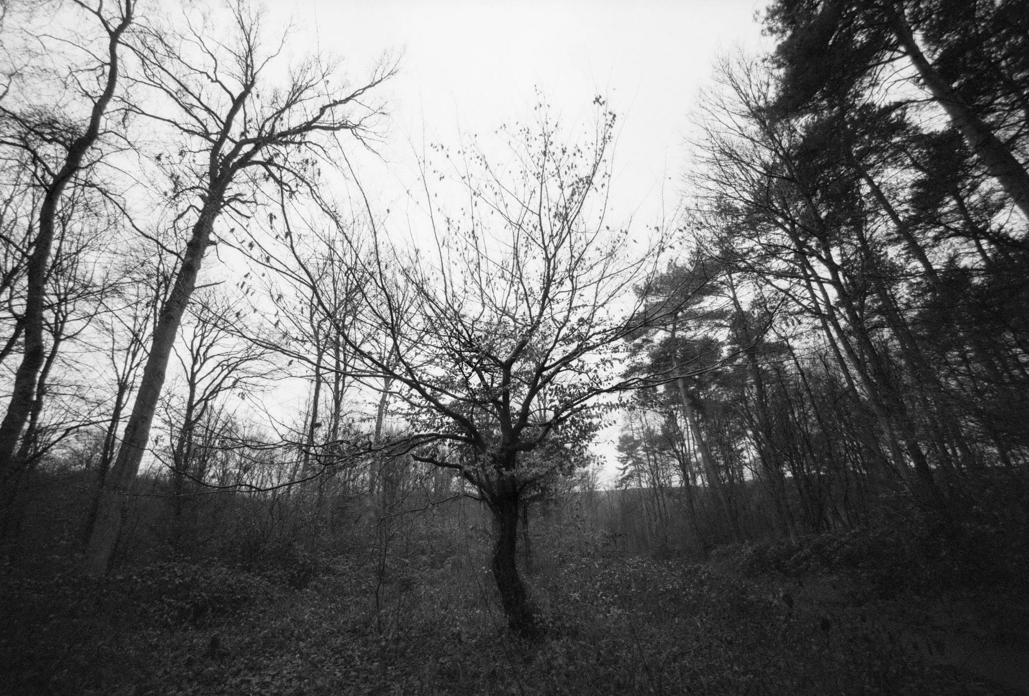 2018 12 31 cle apx100 fg10  9a 32770216418 o