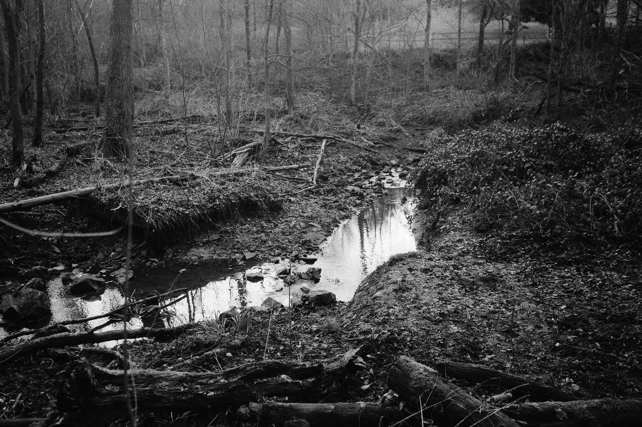 2019 01 18 cle 7artisan apx100 15 46792740851 o