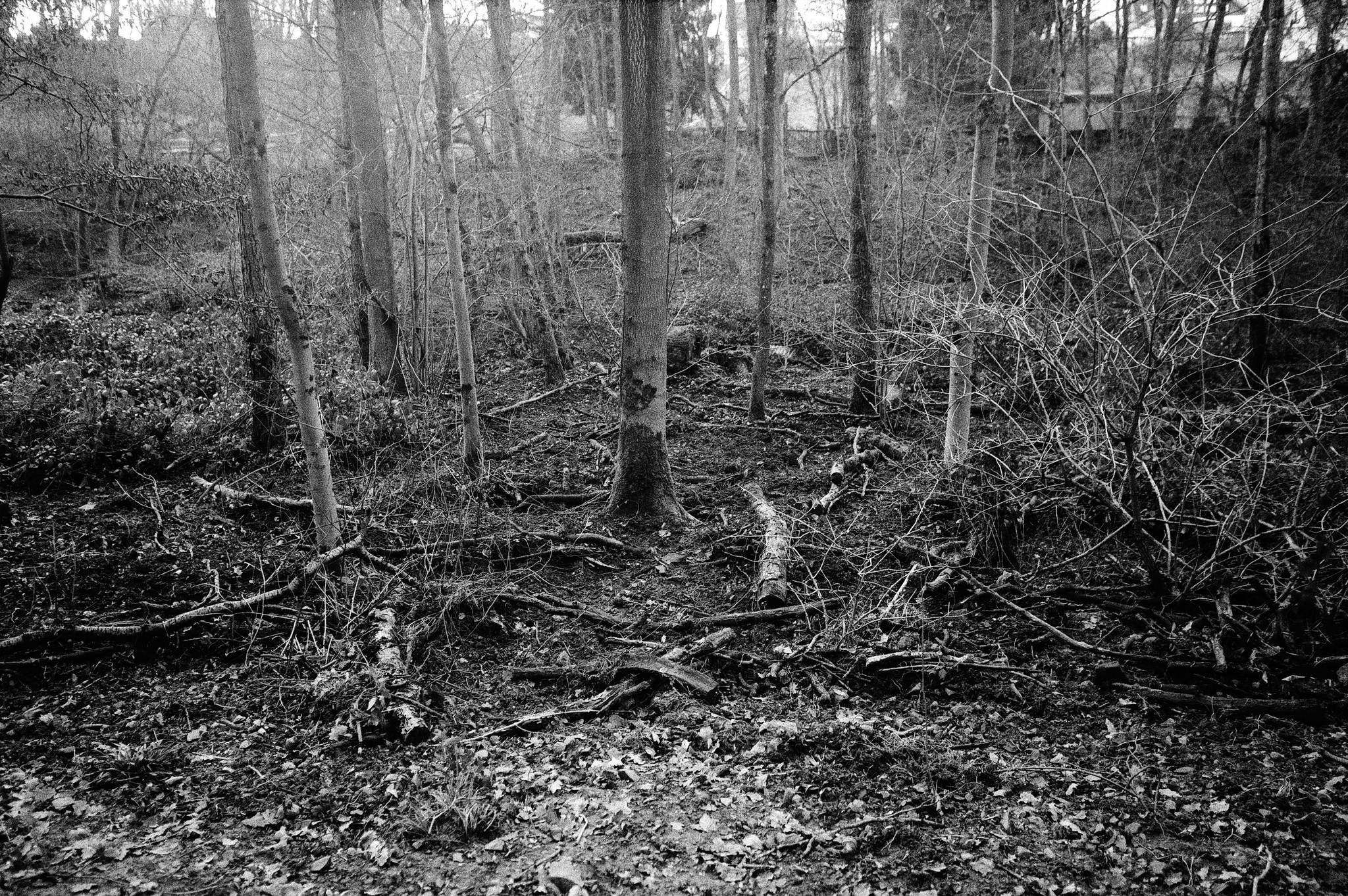 2019 01 18 cle 7artisan apx100 16 39827444623 o