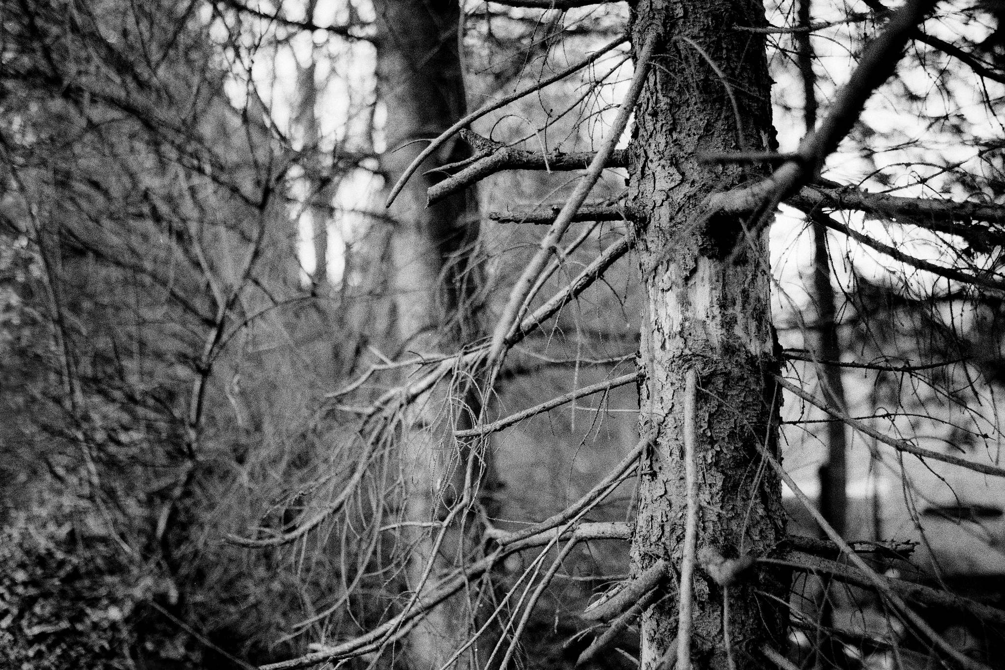 2019 01 18 cle 7artisan apx100 4 31851092107 o