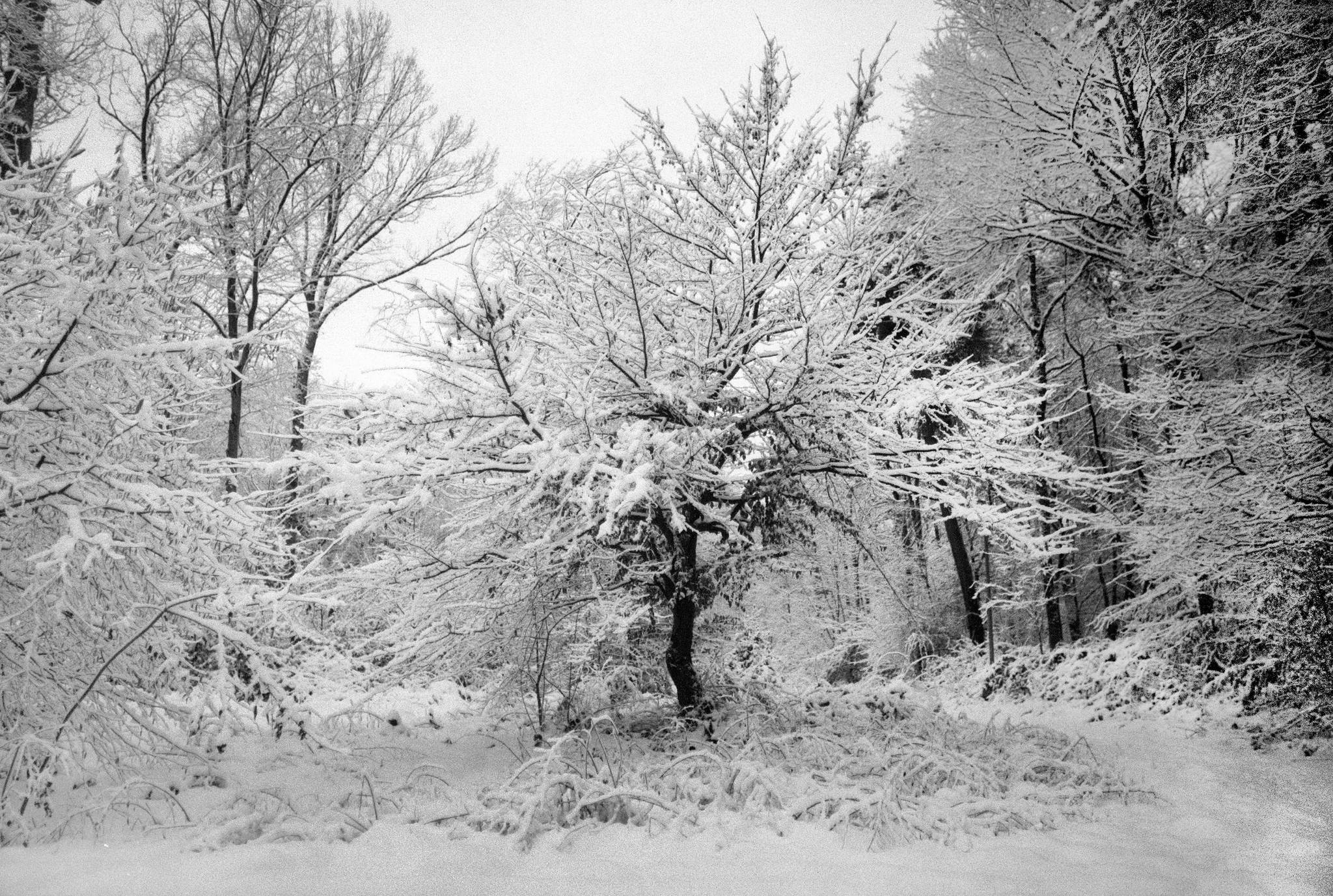 2019 01 31 m6 7artisans 28 apx100 01a 33079872458 o