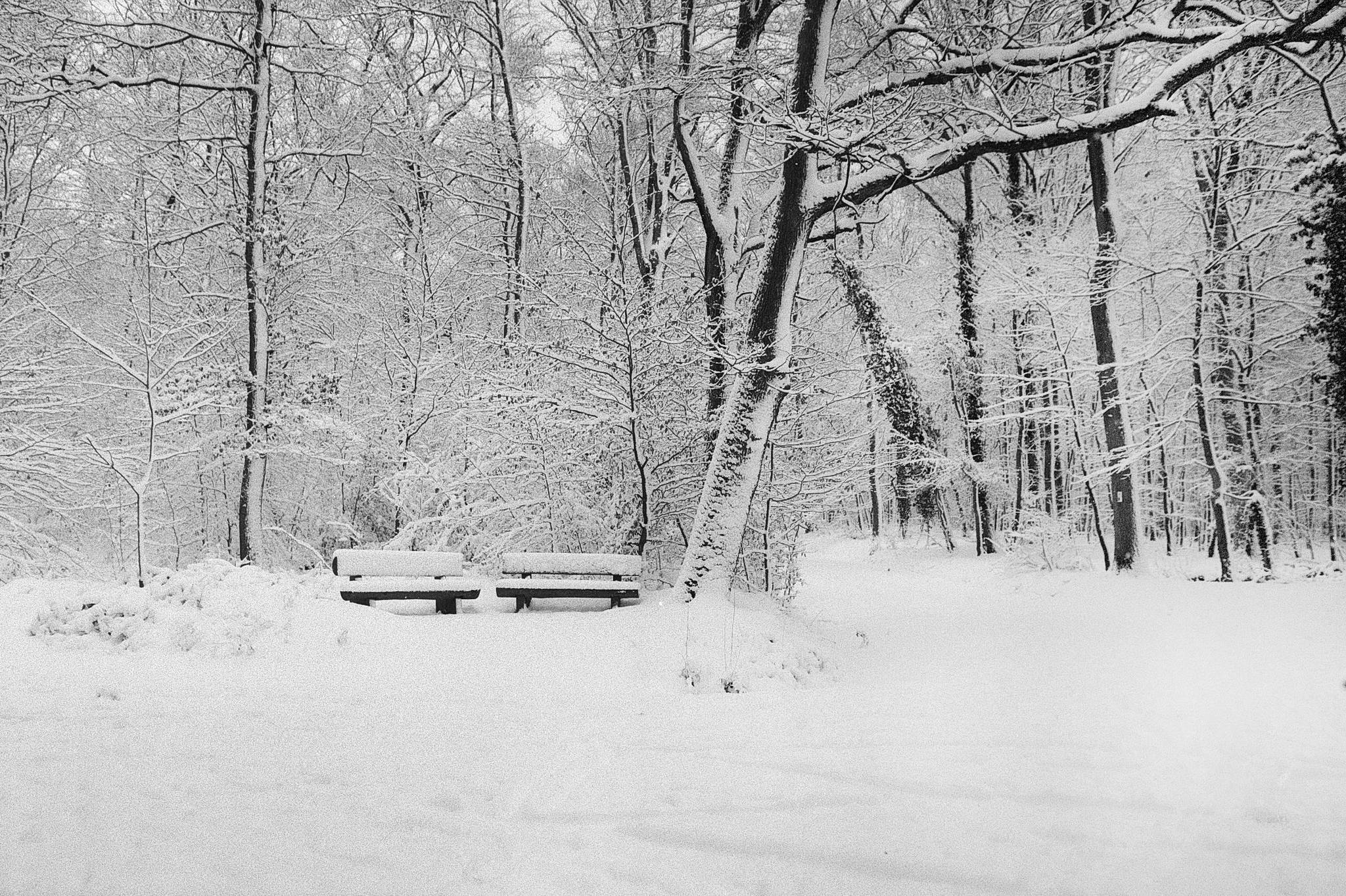 2019 01 31 m6 7artisans 28 apx100 19a 39990770983 o