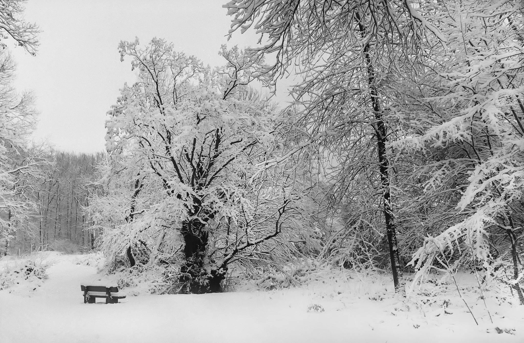 2019 01 31 m6 7artisans 28 apx100 32 33079873828 o