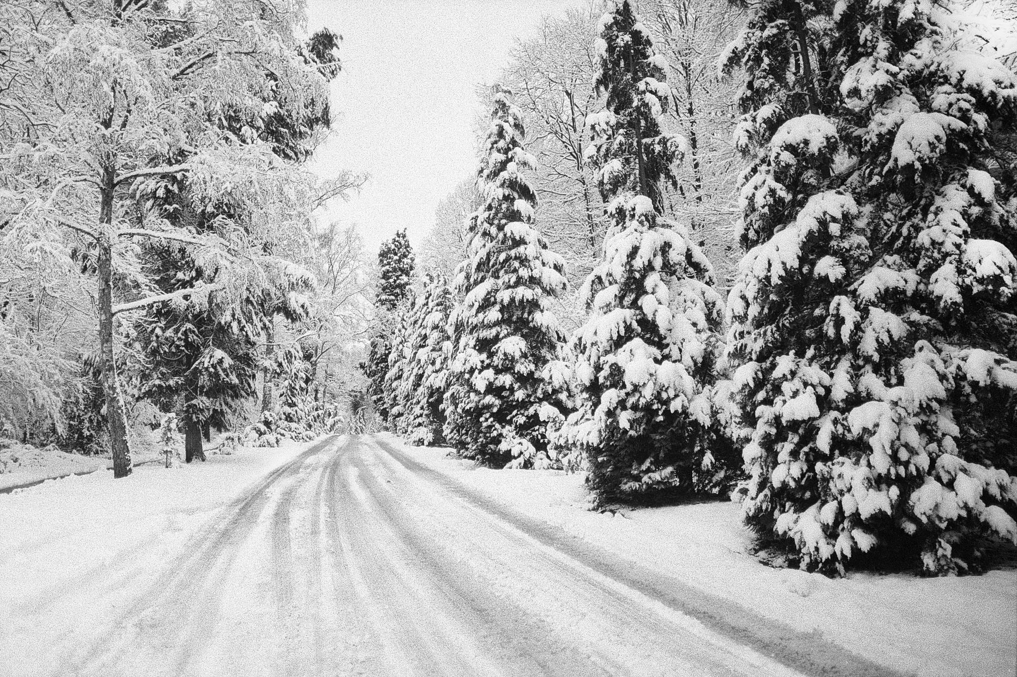 2019 01 31 m6 7artisans 28 apx100 5 46025864715 o