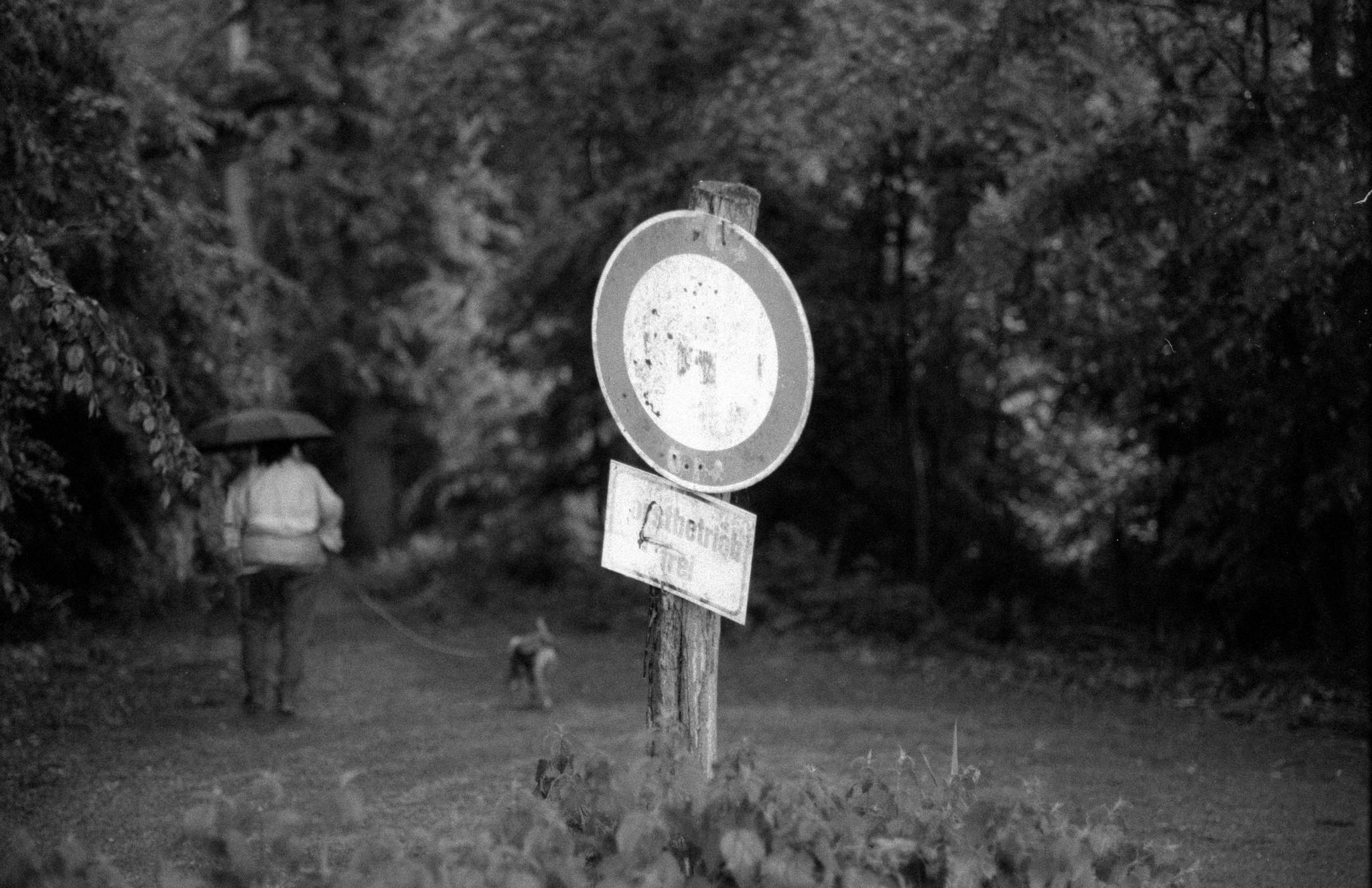 2019 05 20 0028 47956559102 o