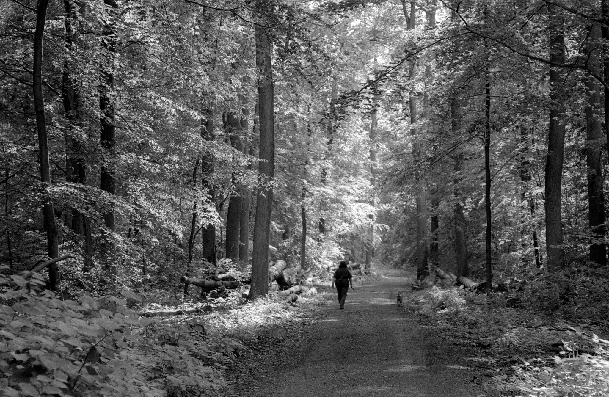 2019 05 25 0007 47956609418 o