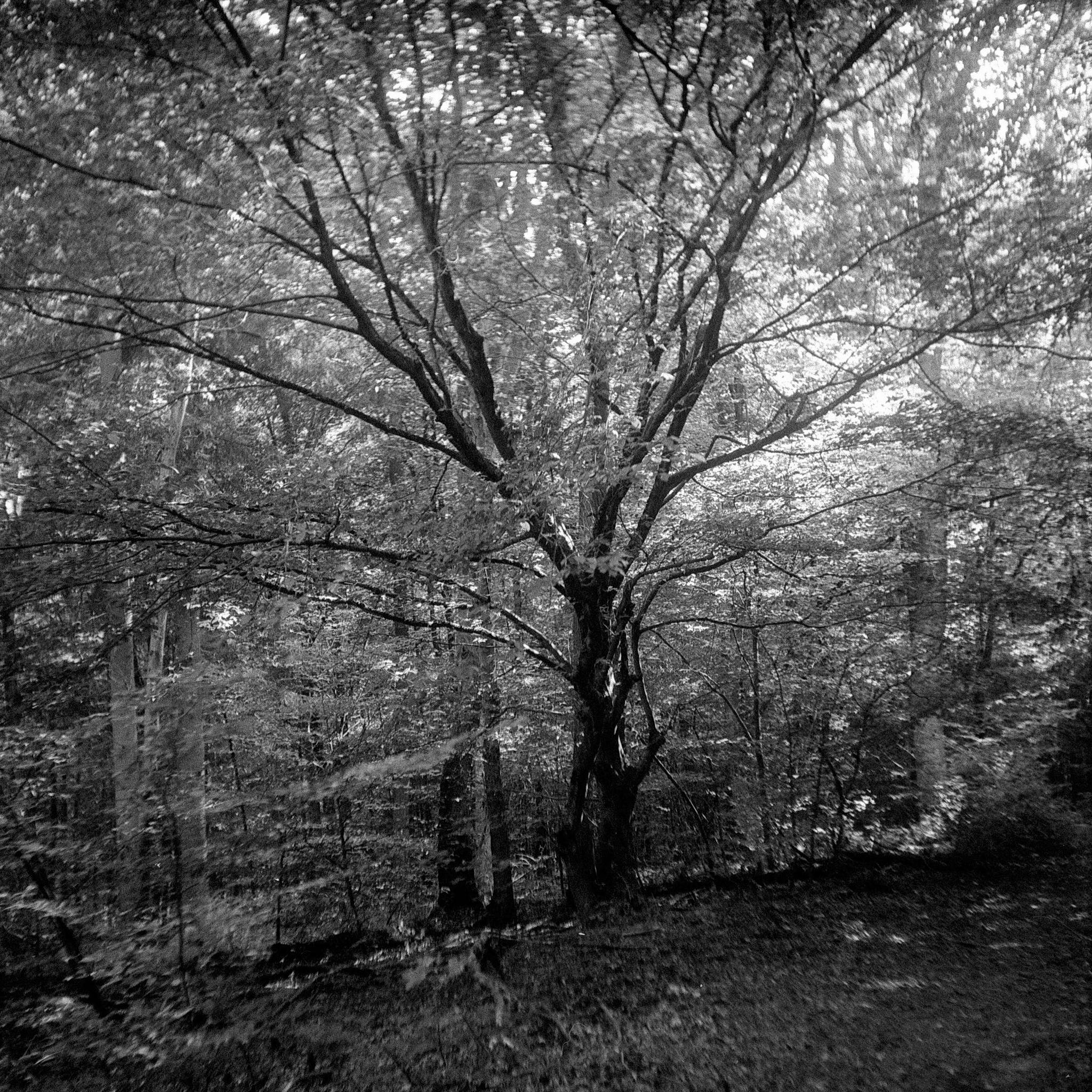 2019 07 31 c003a 48428422101 o