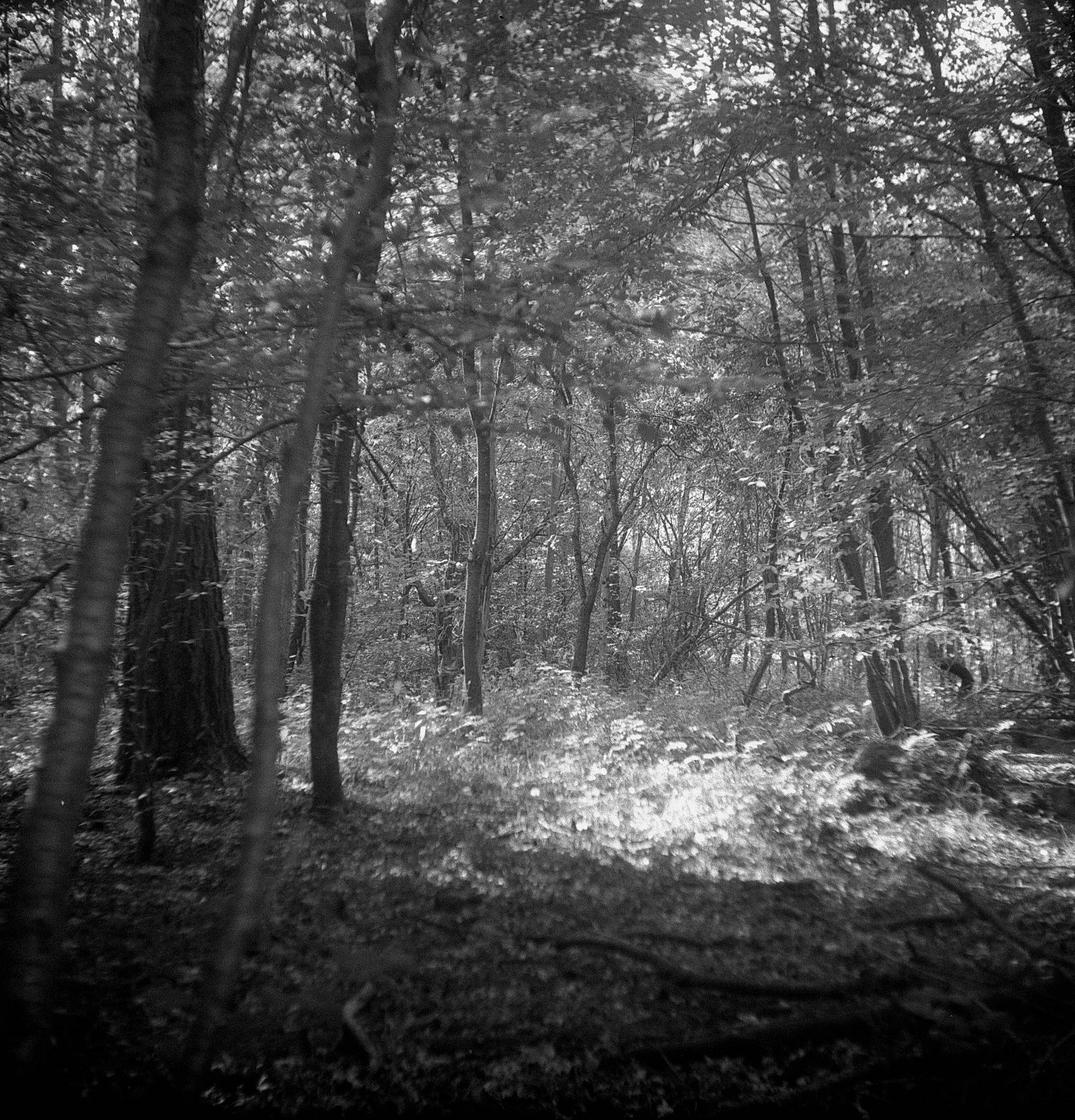 2019 07 31 c004a 48428422376 o