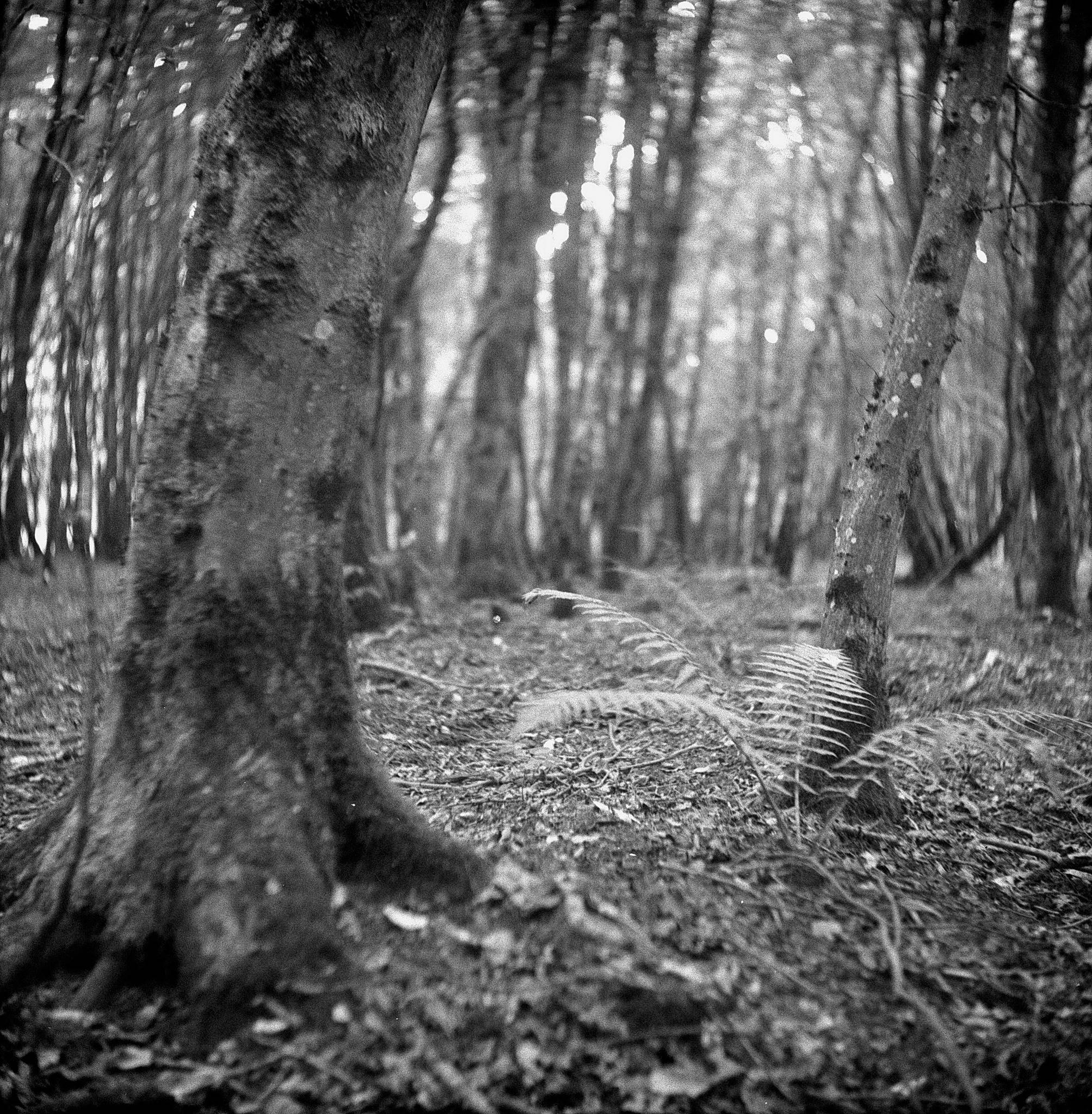 2019 07 31 c006a 48428422671 o