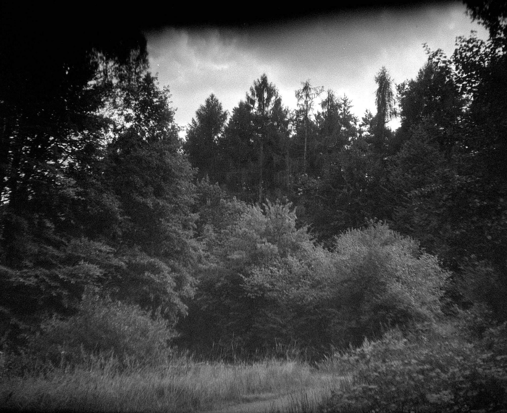 2019 07 31 c009a 48428422876 o