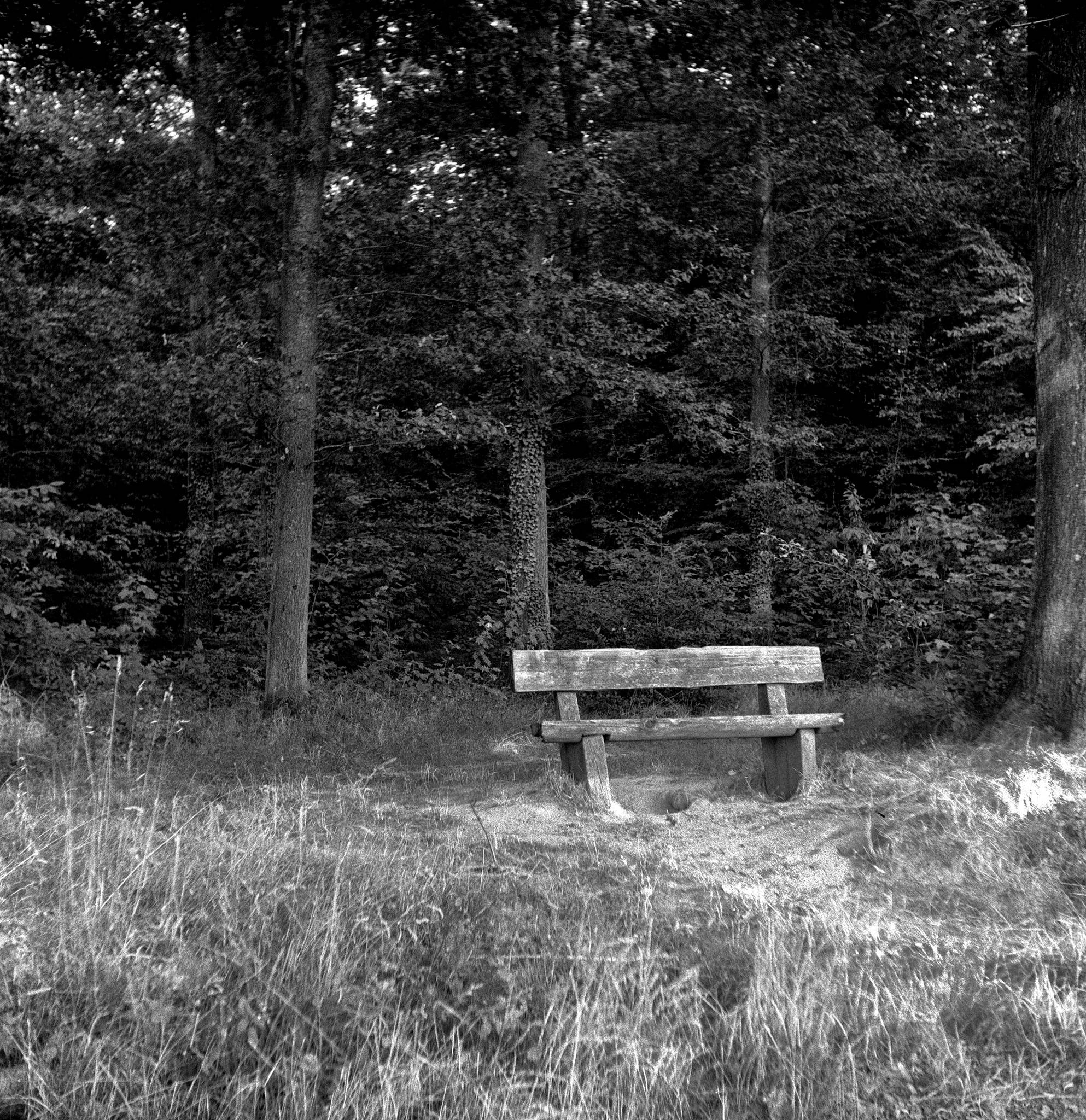 2019 08 03 0001 48497755506 o