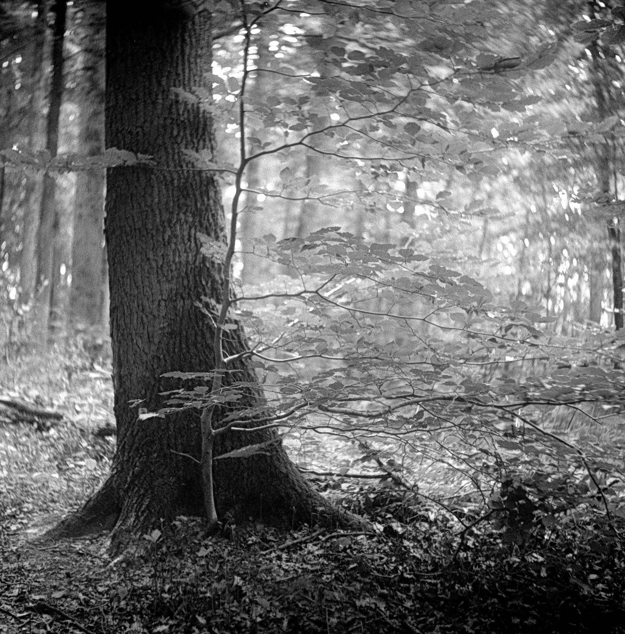 2019 08 04 0001 48497927677 o