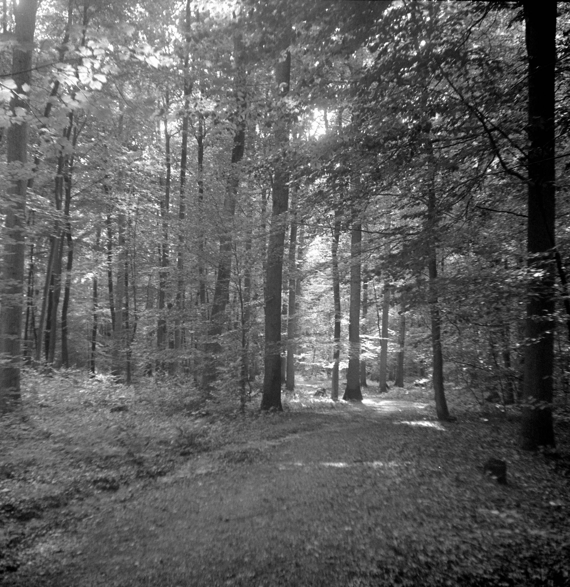 2019 08 04 0002 48497756291 o