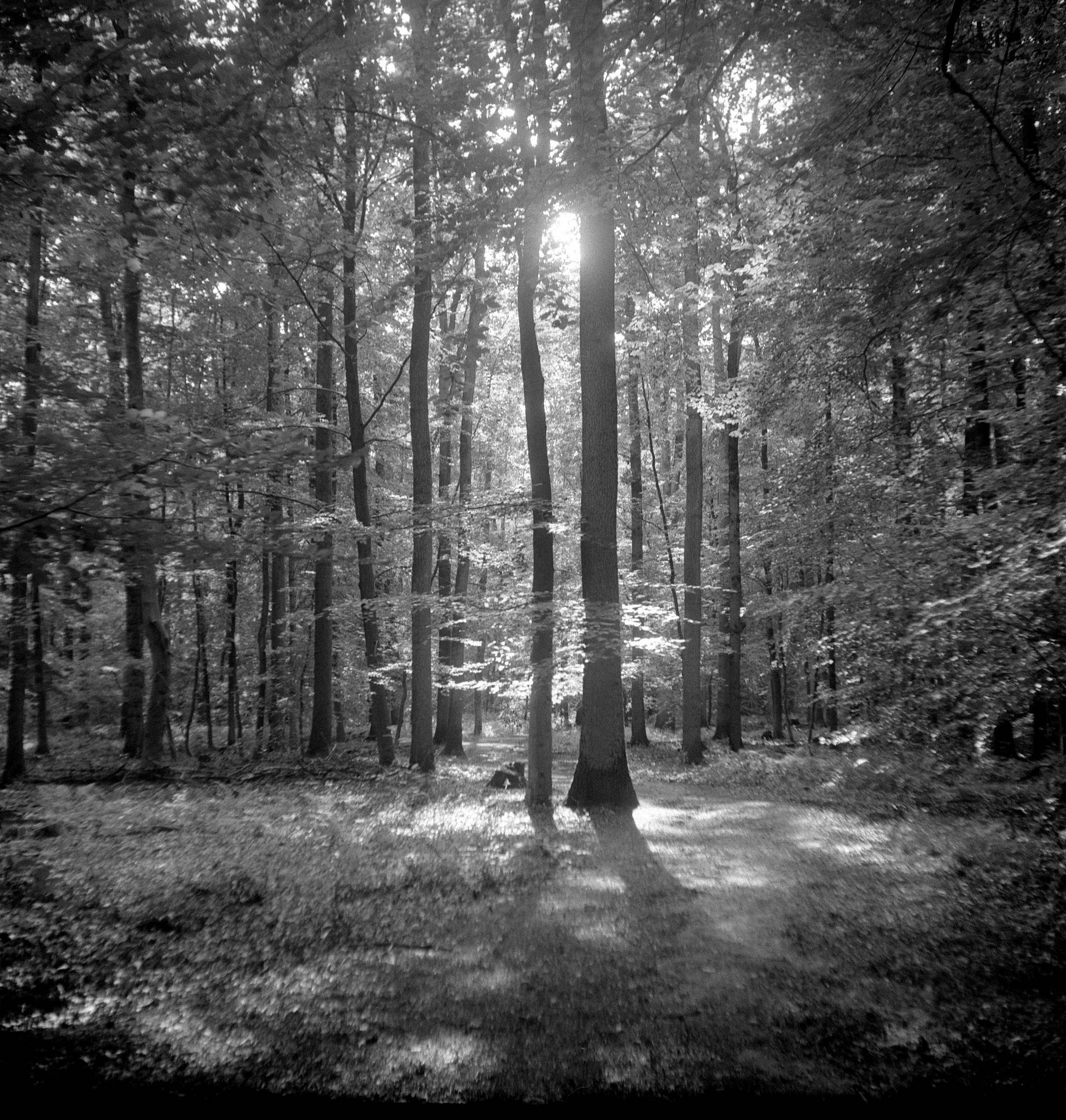 2019 08 04 0005 48497756641 o