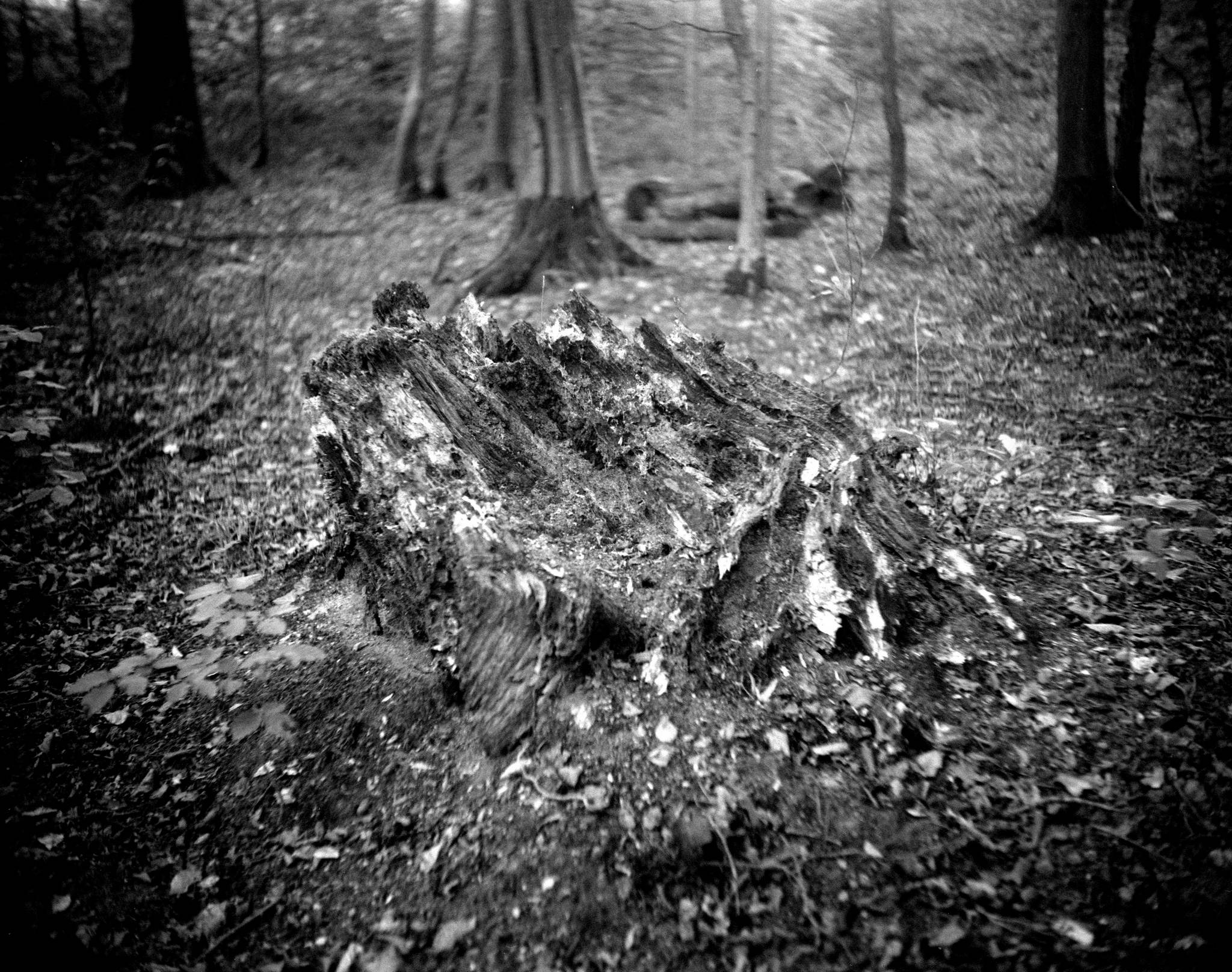 2019 08 05 0009 48497761636 o