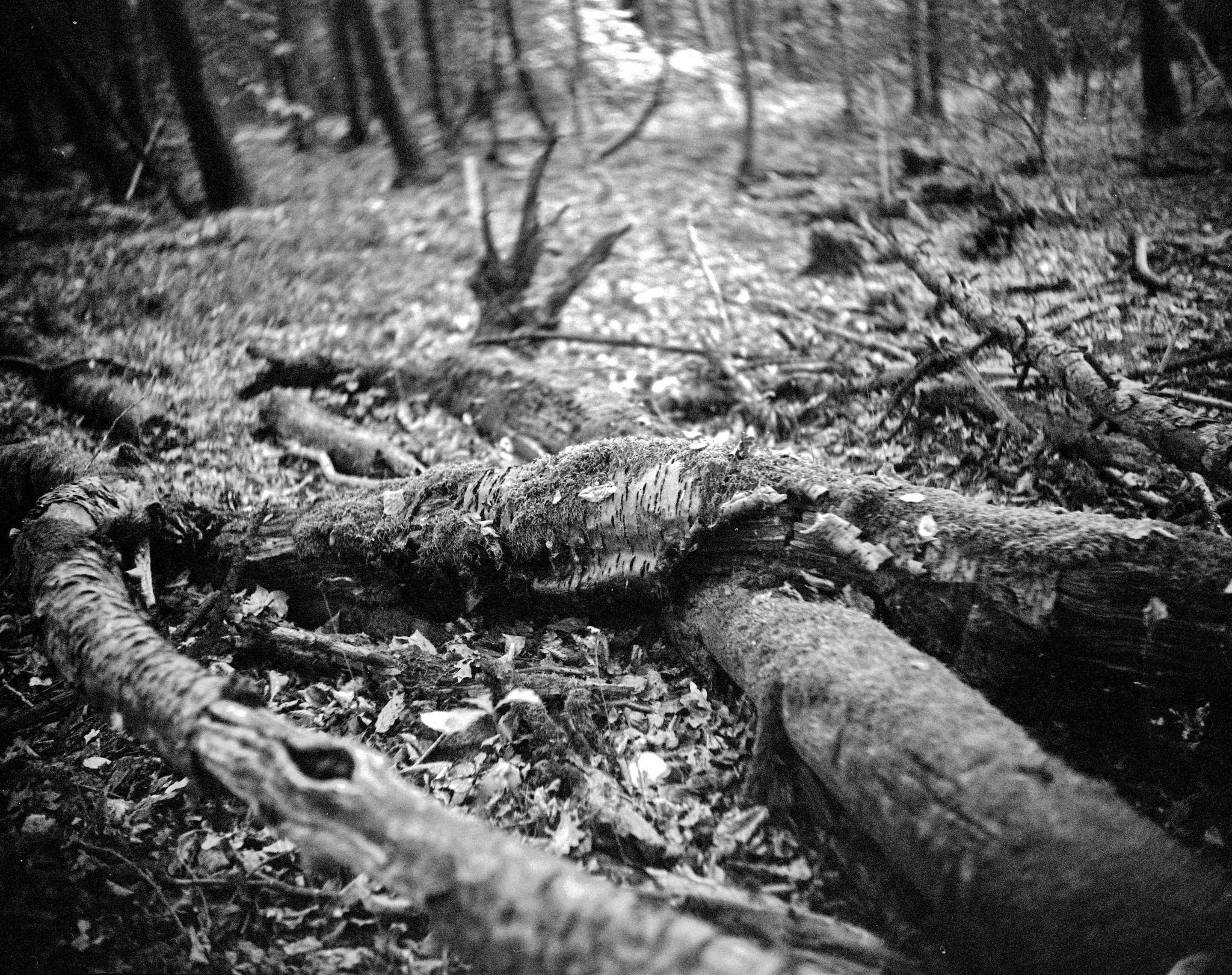 2019 08 05 0012 48497934082 o