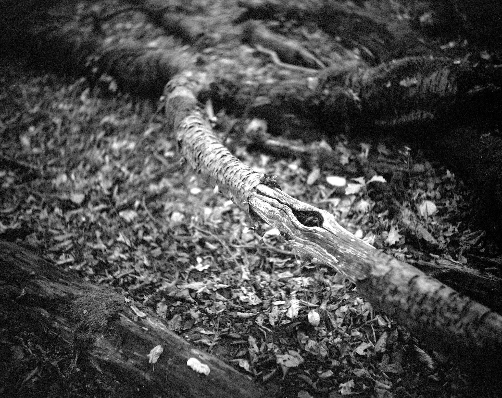 2019 08 05 0014 48497763116 o