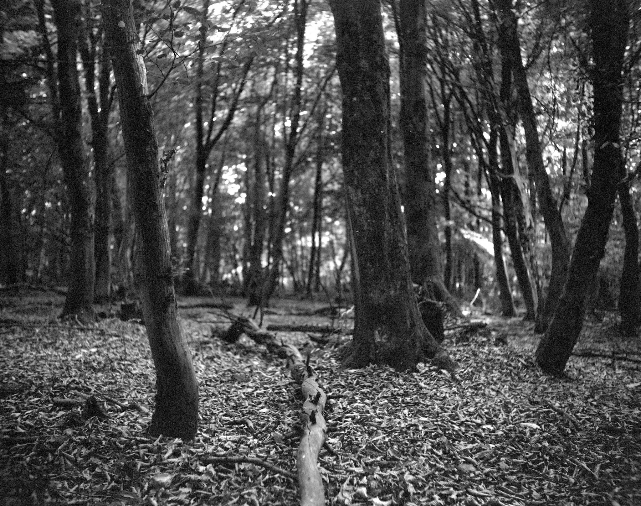 2019 08 05 0015 48497763591 o