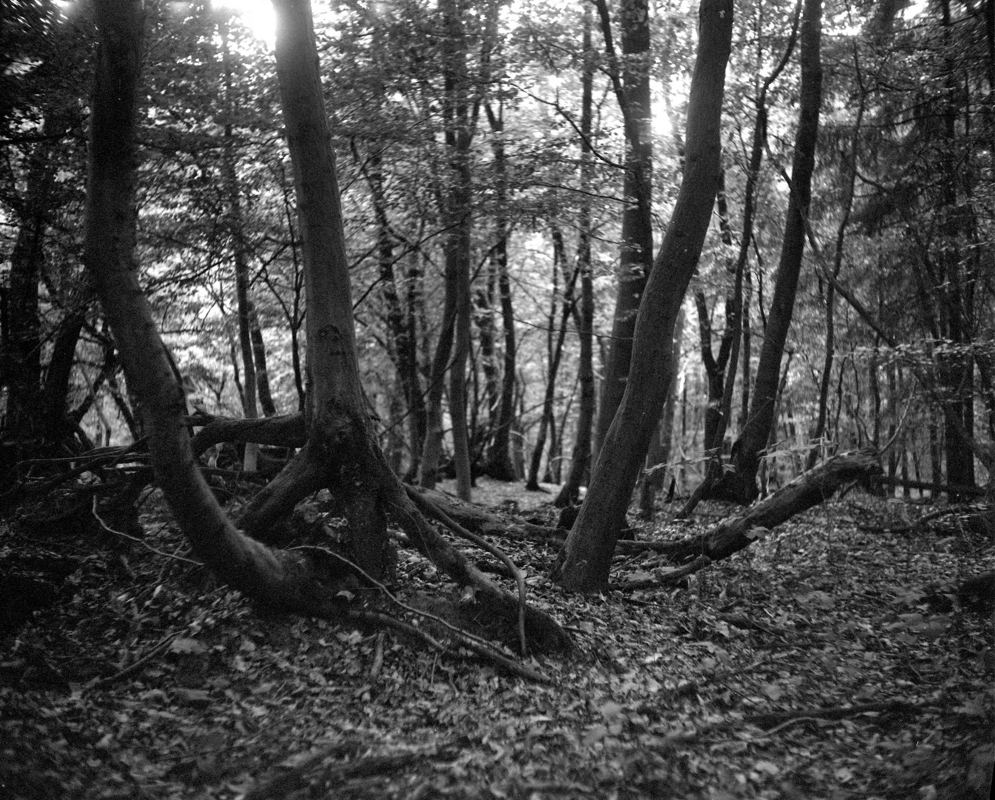 2019 08 05 0016 48497764021 o