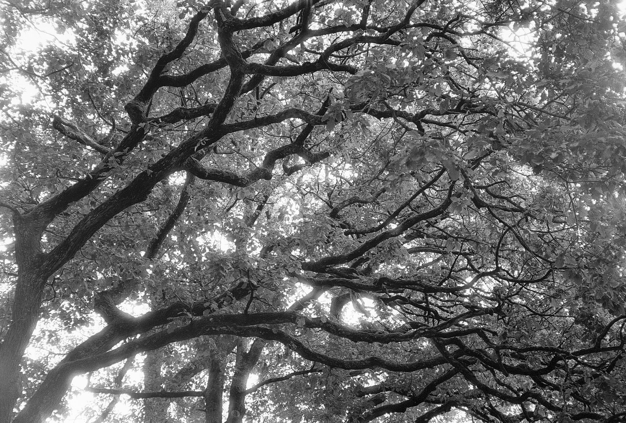 2024 10 01 11 54036008987 o