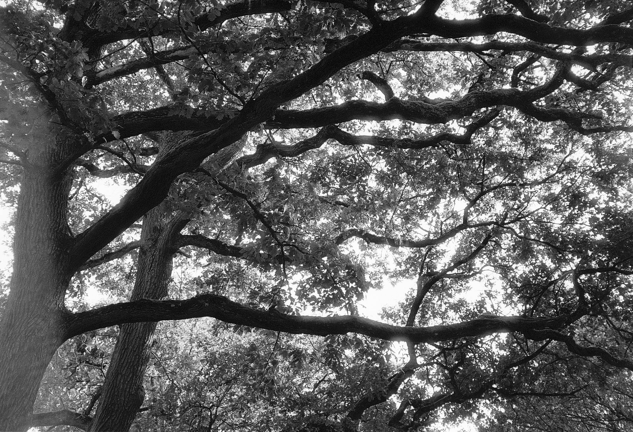 2024 10 01 12 54037322095 o