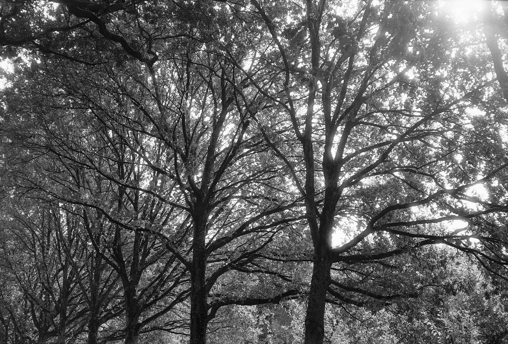 2024 10 01 13 54036868721 o