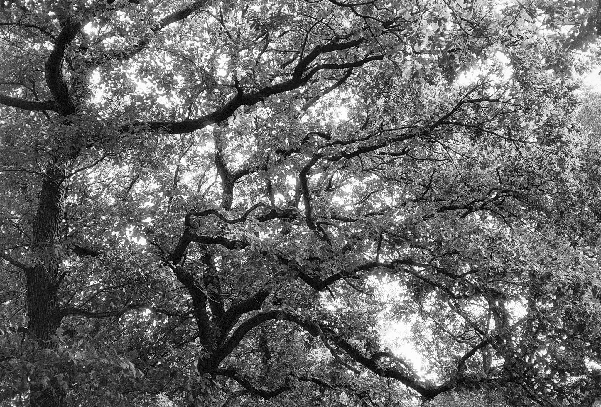 2024 10 01 14 54037195874 o