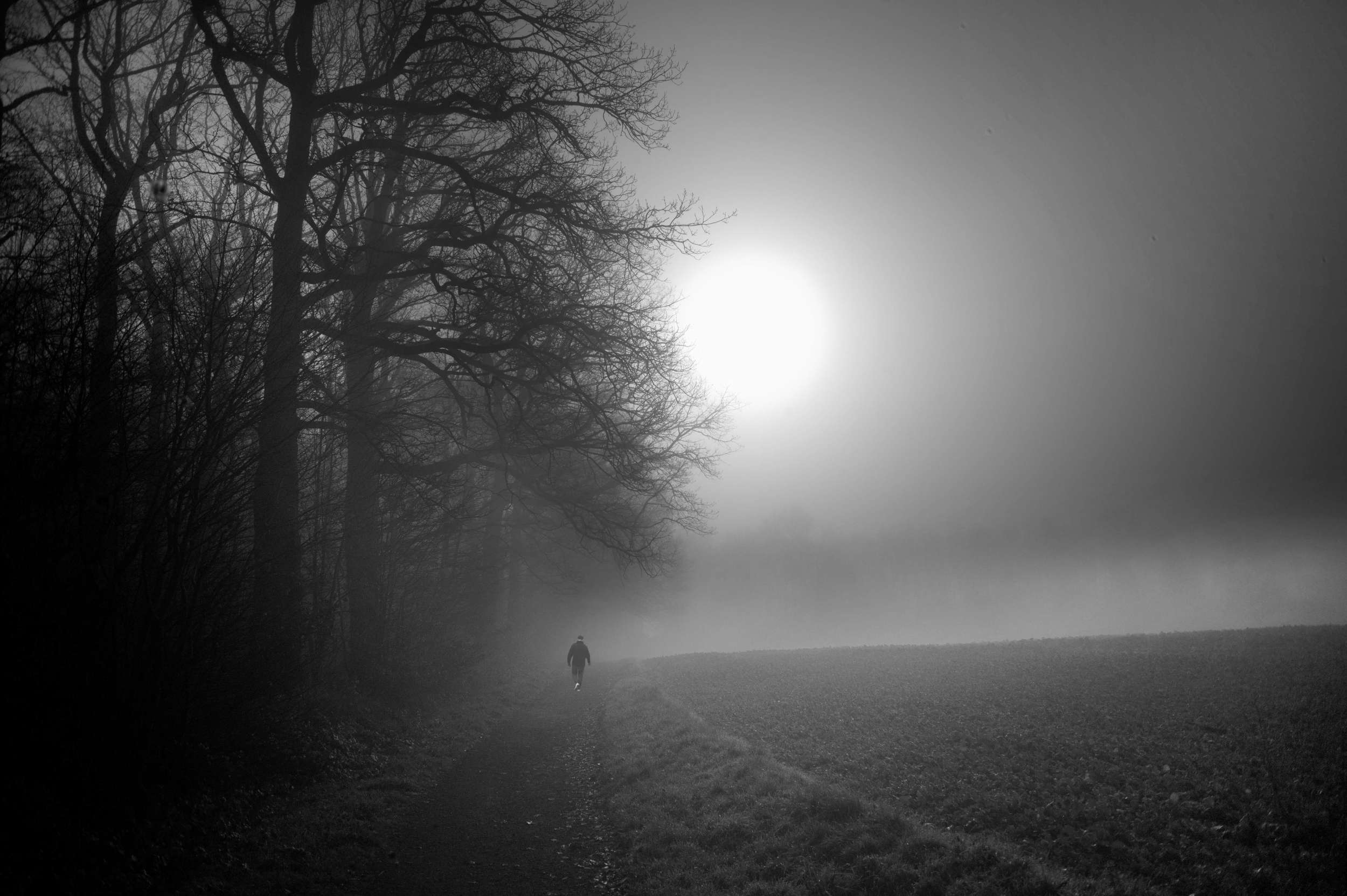 2025 11 16 Nebelwald 01 2500x1663