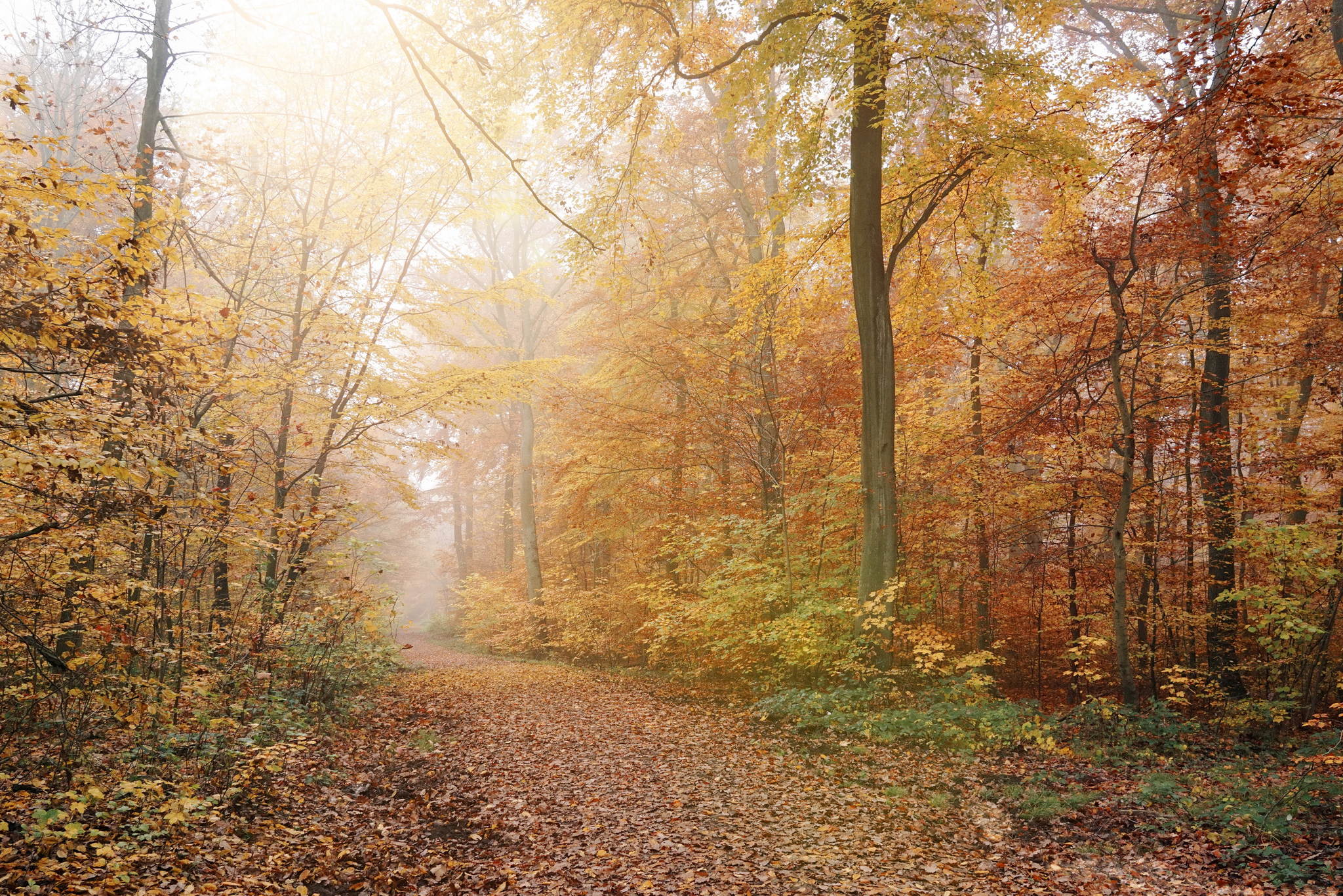 Am morgen 22666095312 o