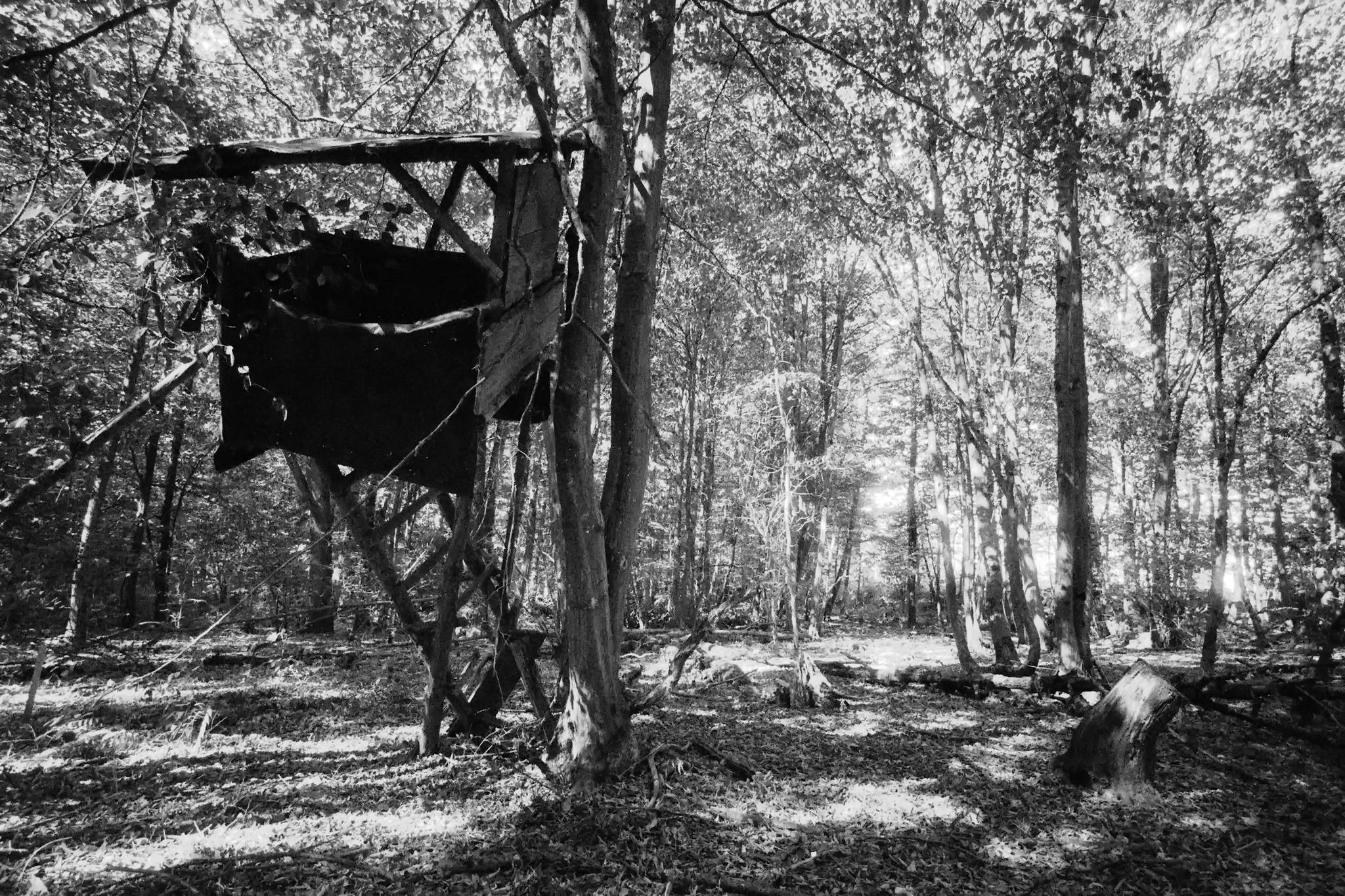 Bessa l foma400 1 48768781138 o