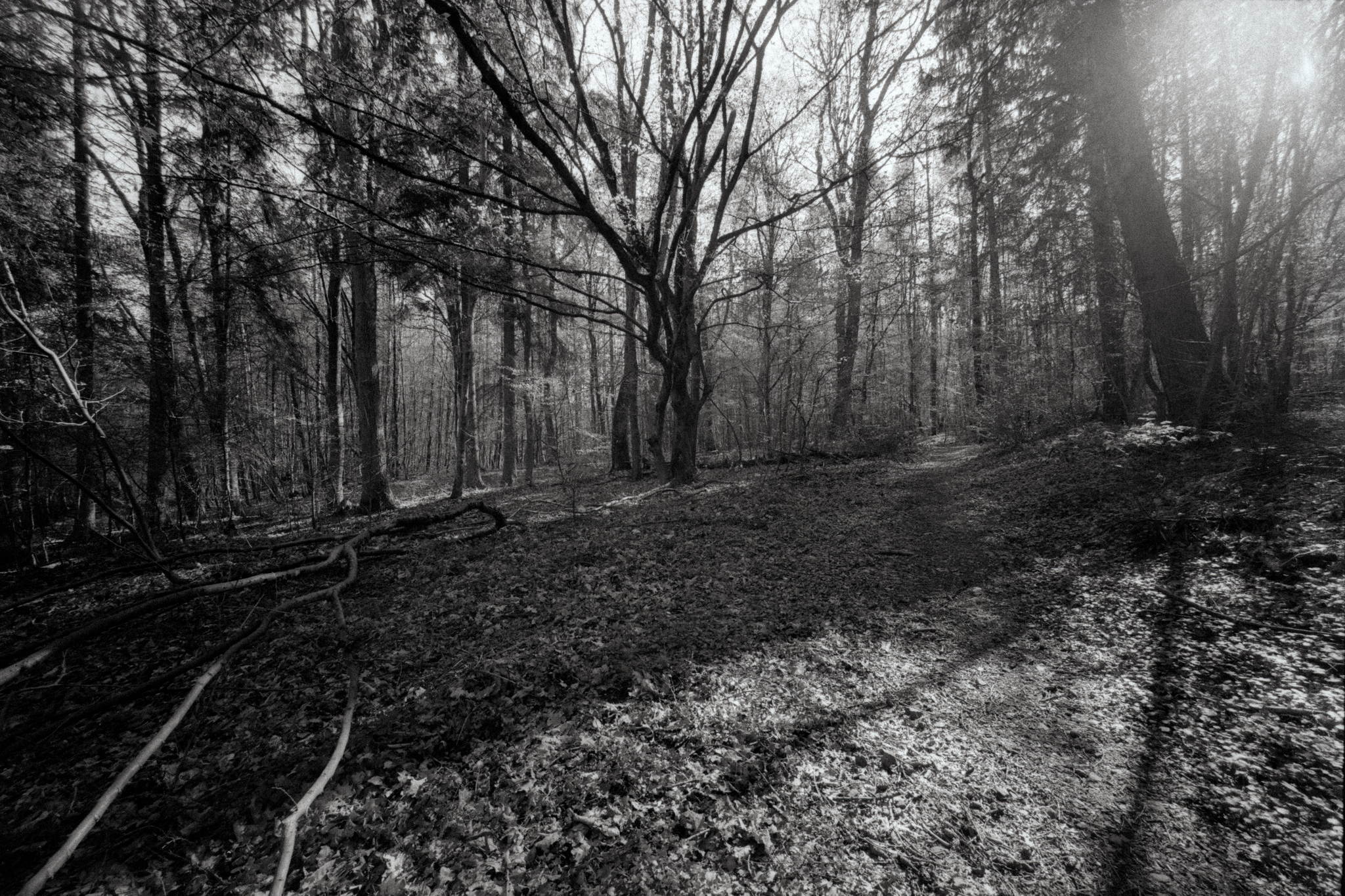 Bessa l heliar 15mm  foma 400 01 46681745285 o