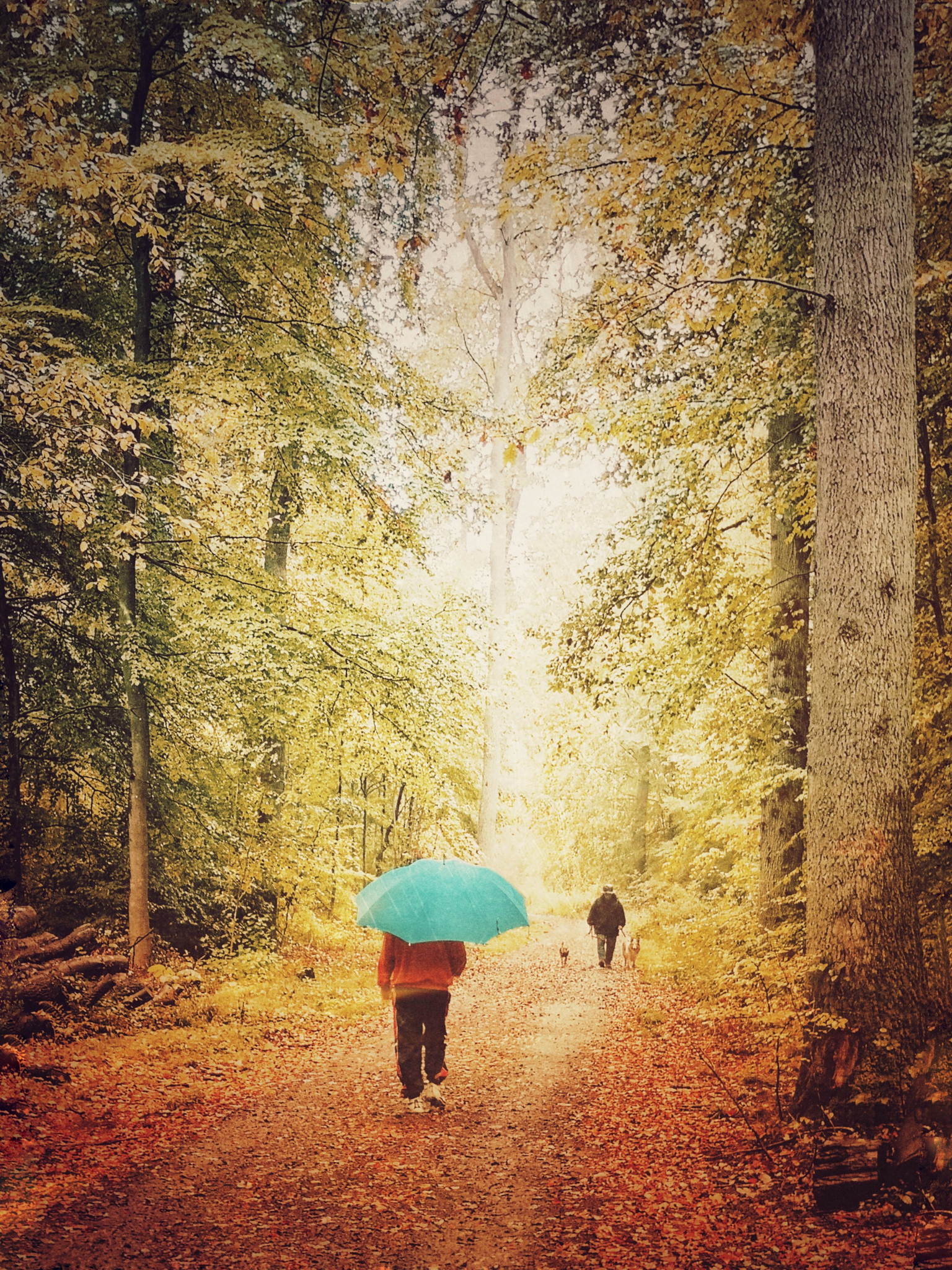 Bunter herbst 48942971718 o