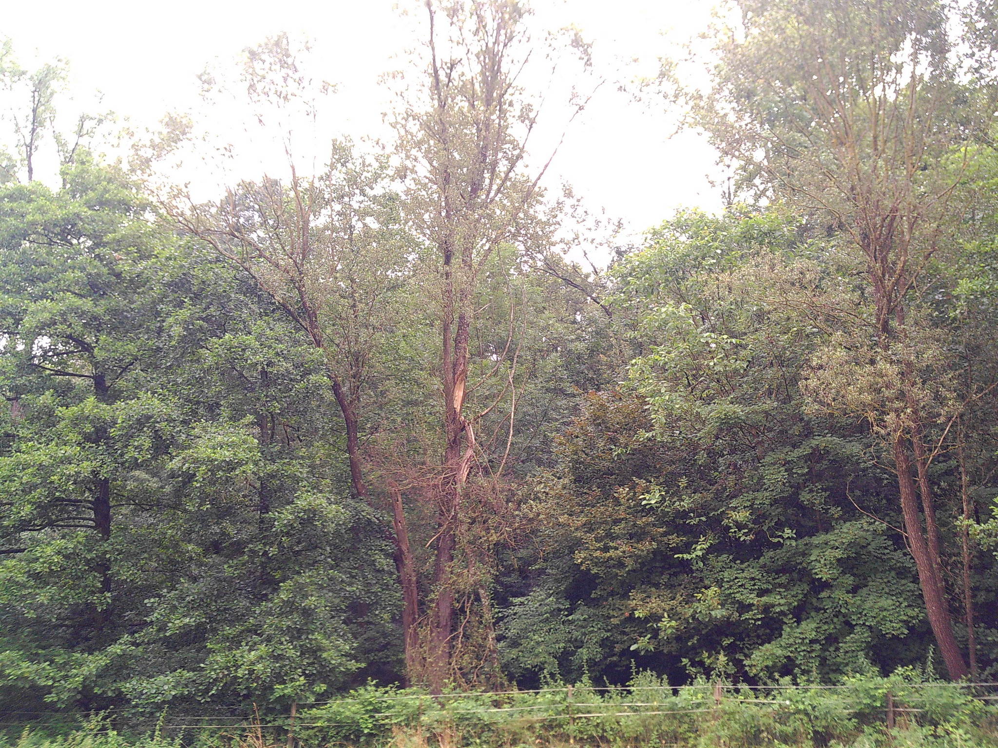 Dscf0221 53893404630 o