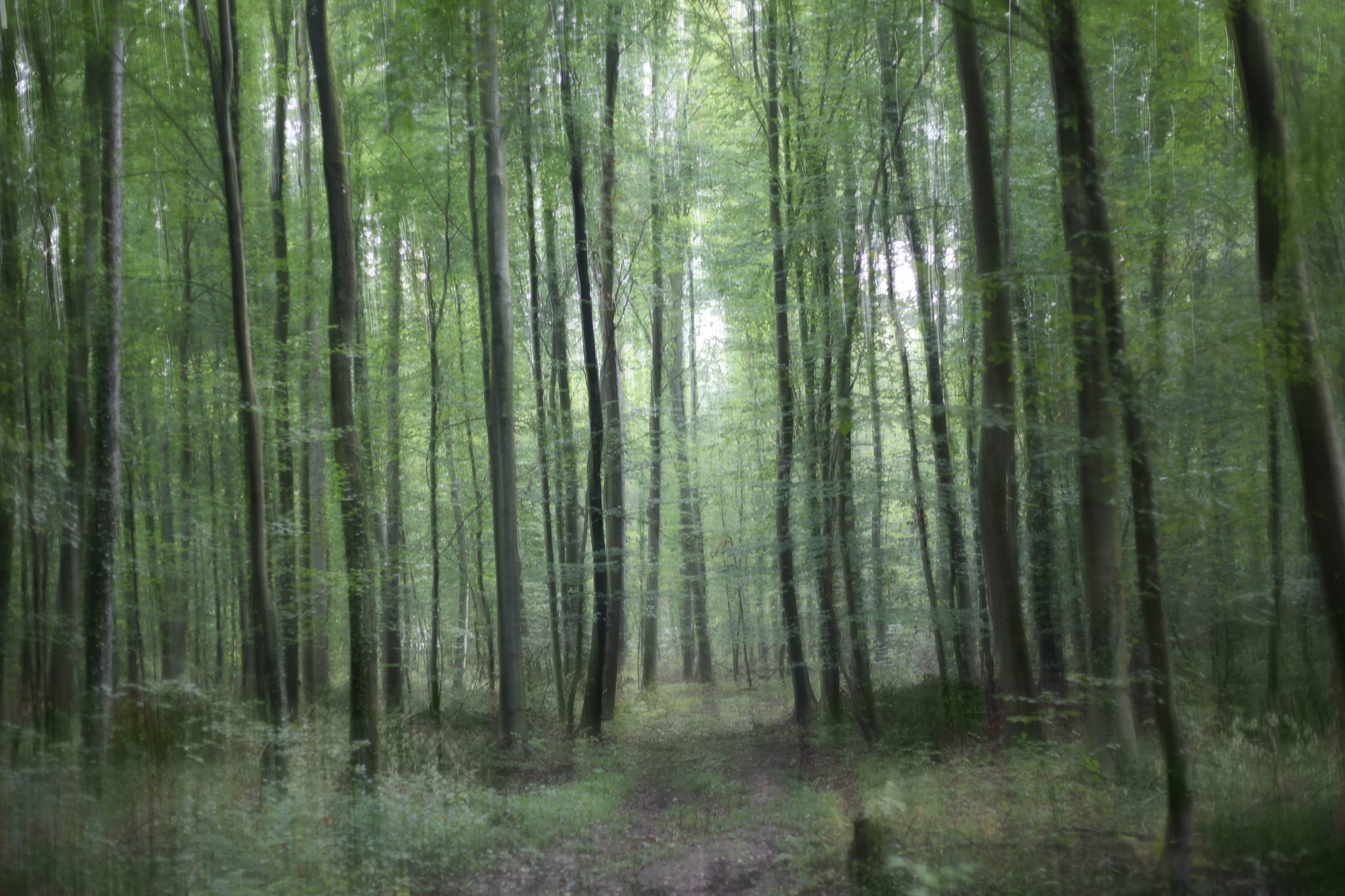 Erstes licht 9817604035 o