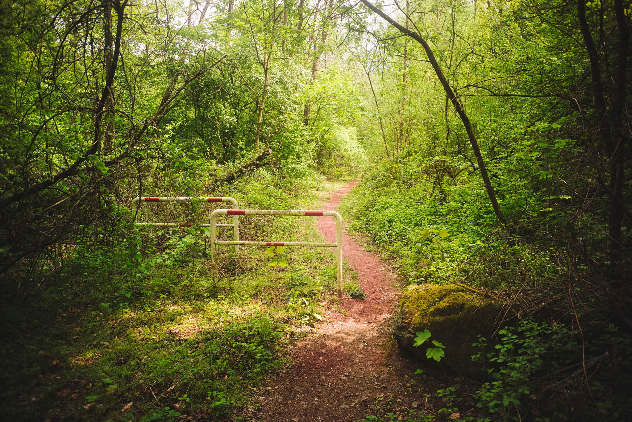 Gehe deinen weg 52047274097 o