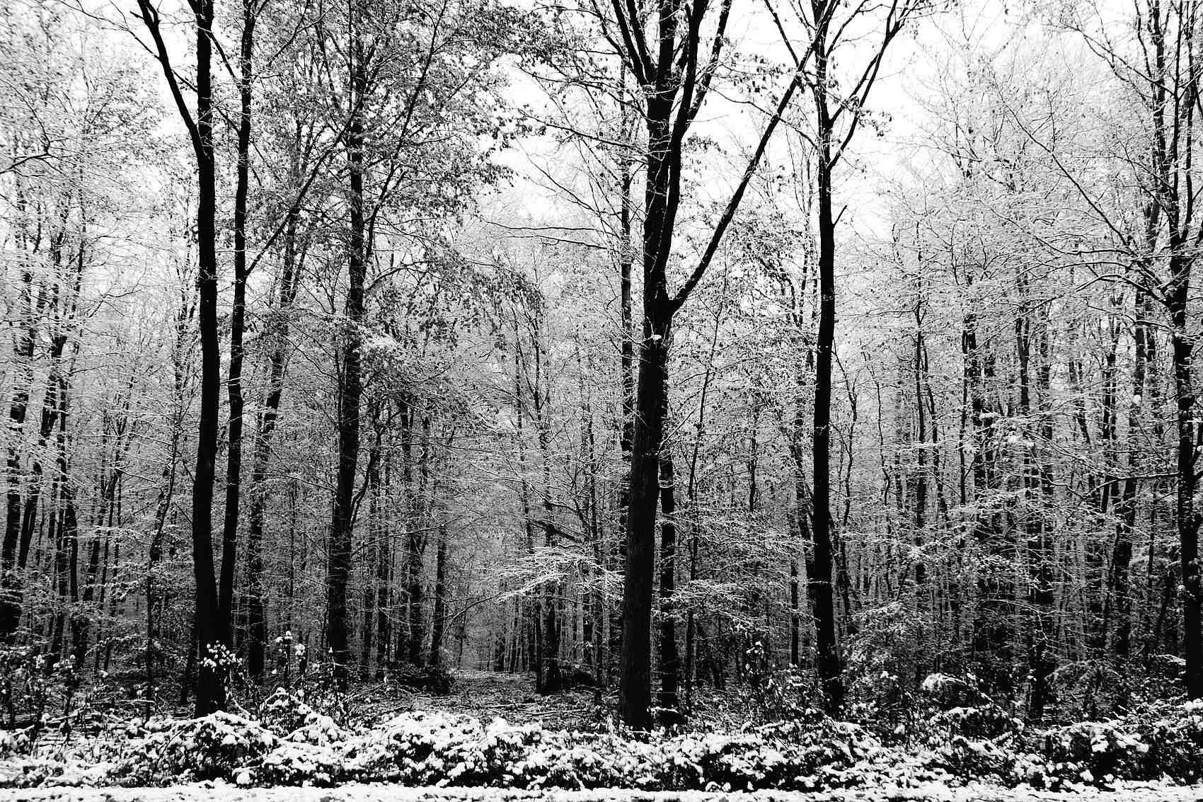 Guten morgen winter 10980804613 o