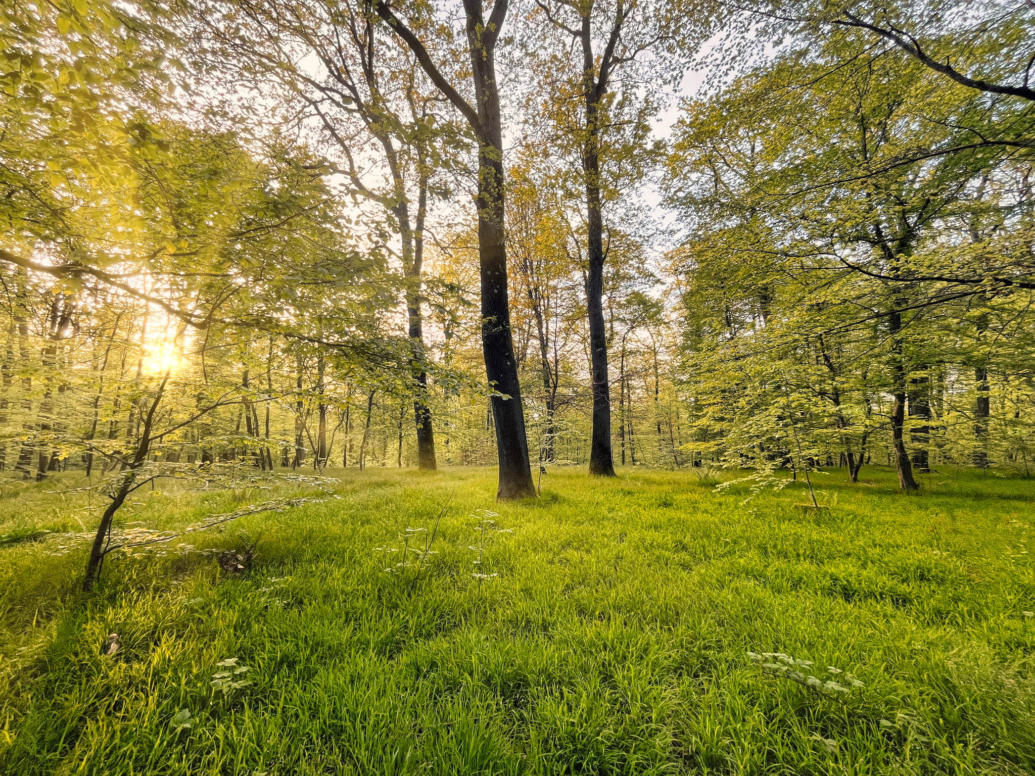 Img 9158a 54646294822 o