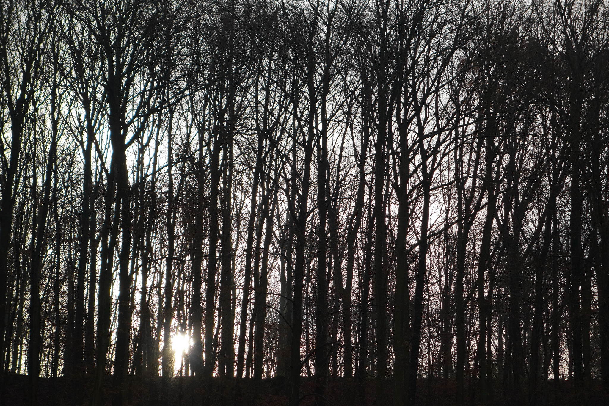 Kaltlicht 11392113776 o