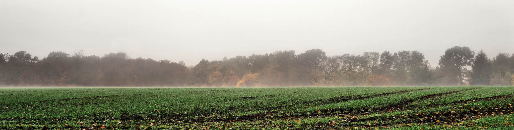 Khl und feucht 22066161903 o