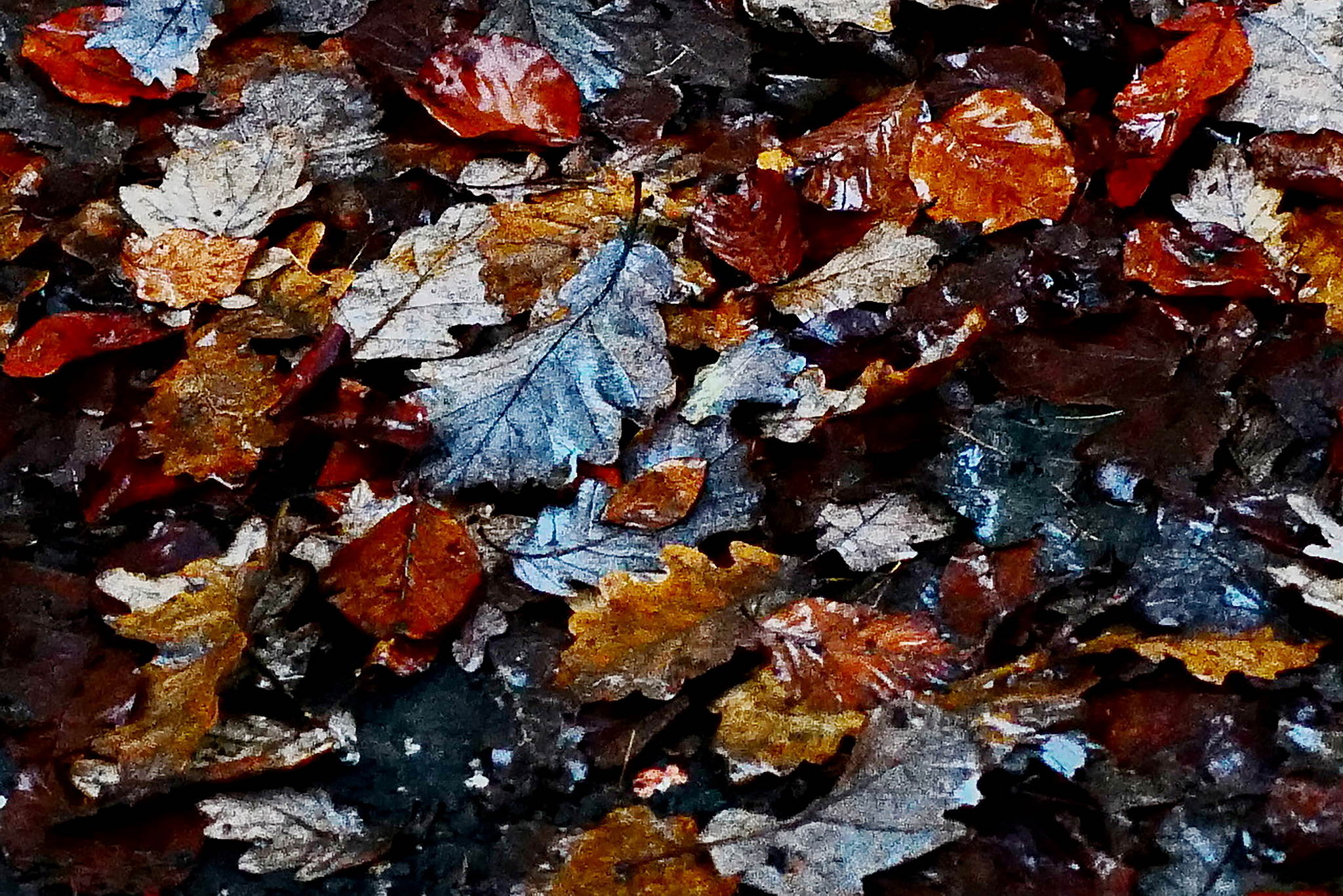 L1000320a 54190391504 o