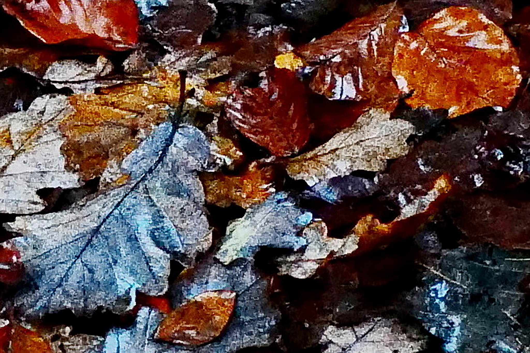 L1000320b 54190556535 o