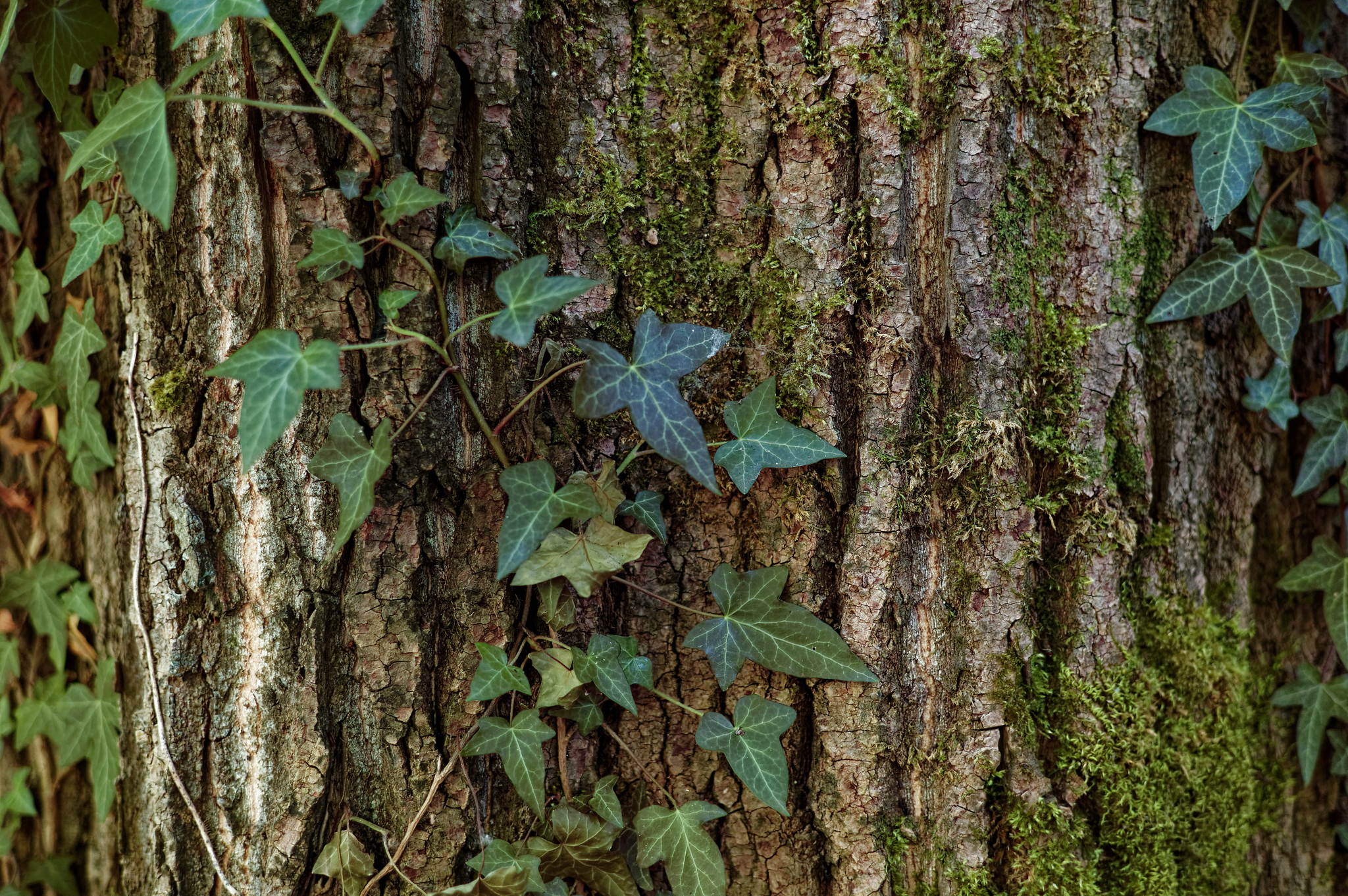 L1000455 dxo 50238168482 o