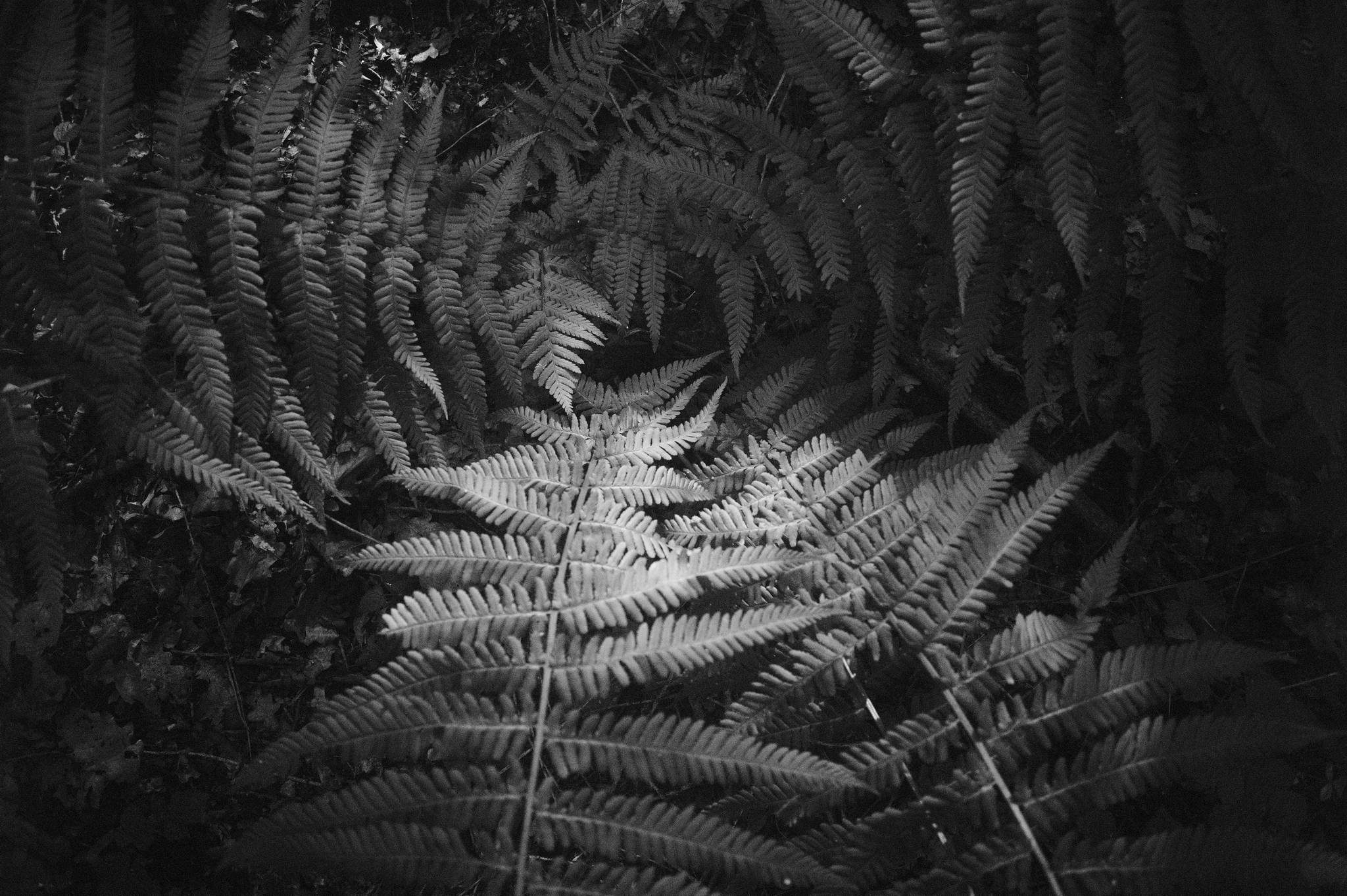 L1002231 51251001939 o