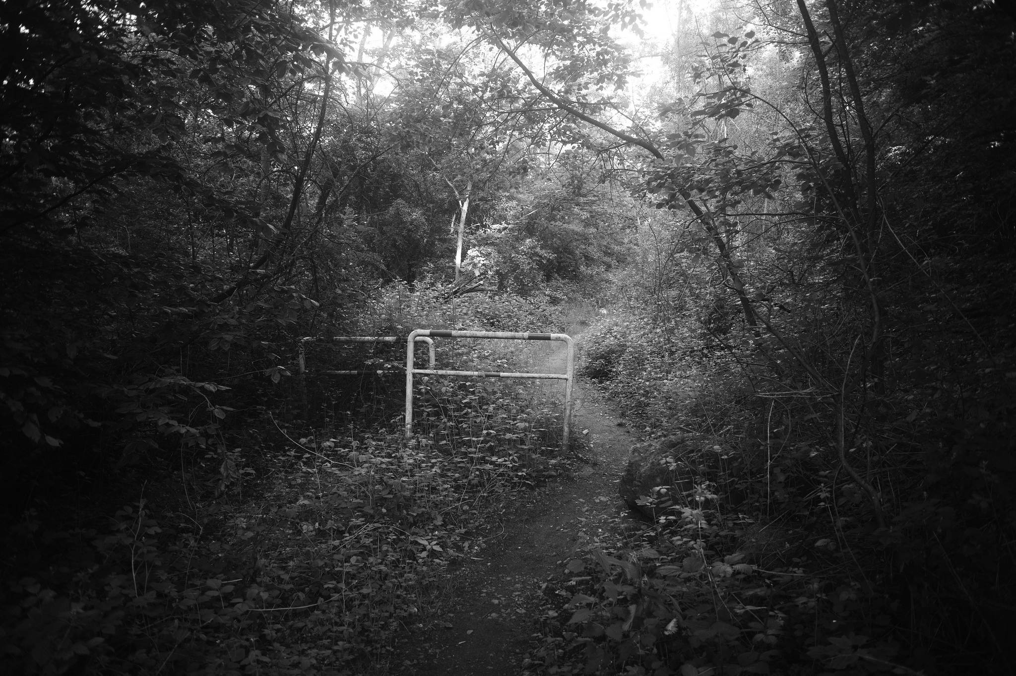 L1002270 51251298820 o