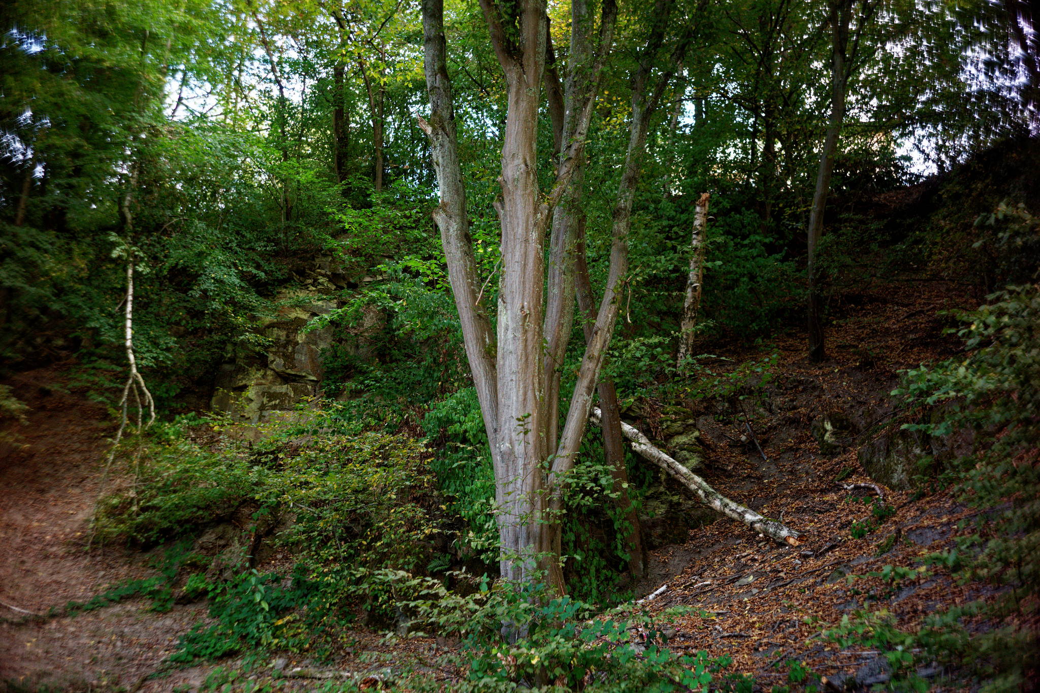 L1007351 dxo 50237824736 o